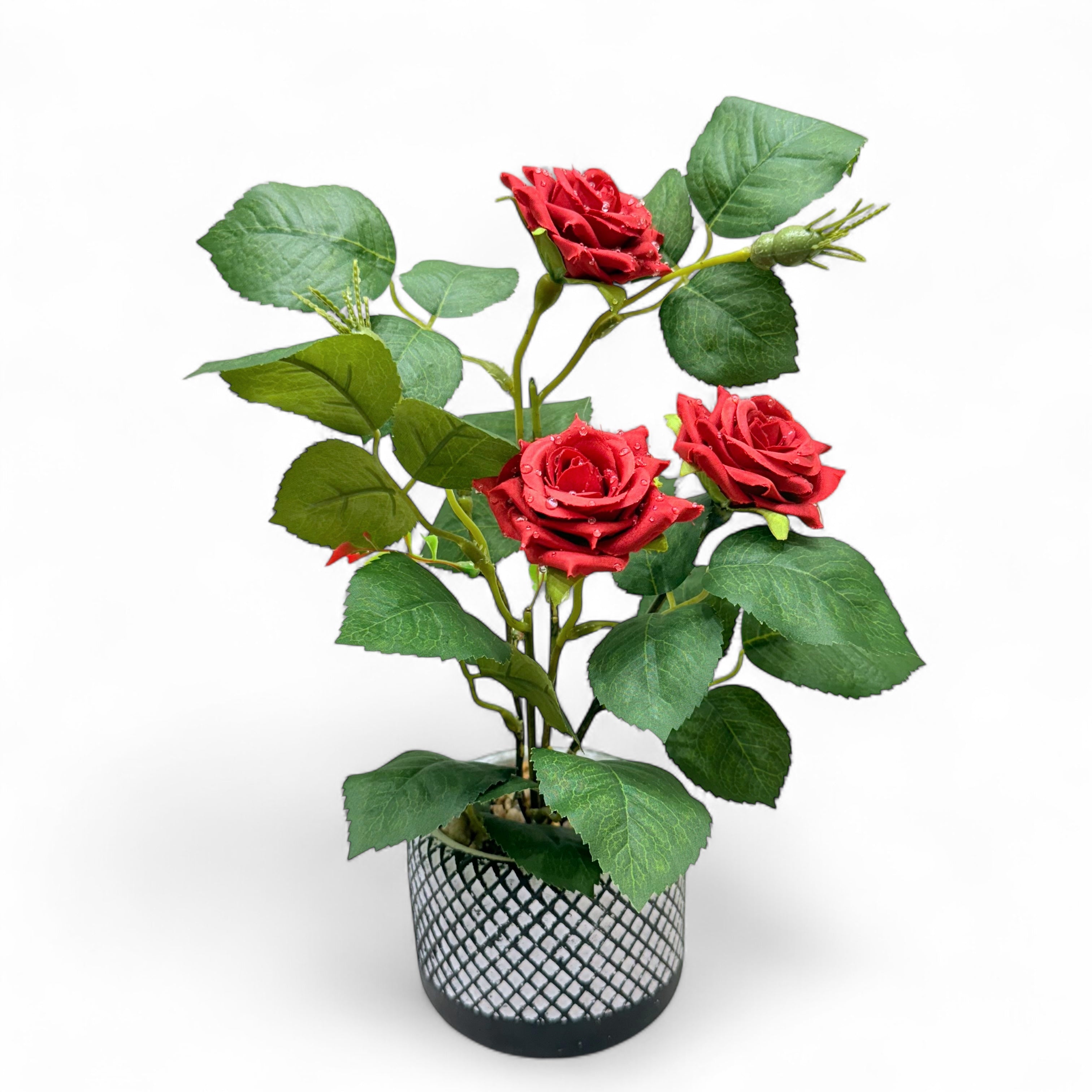 Rose Radiance – Luxe Bloom
