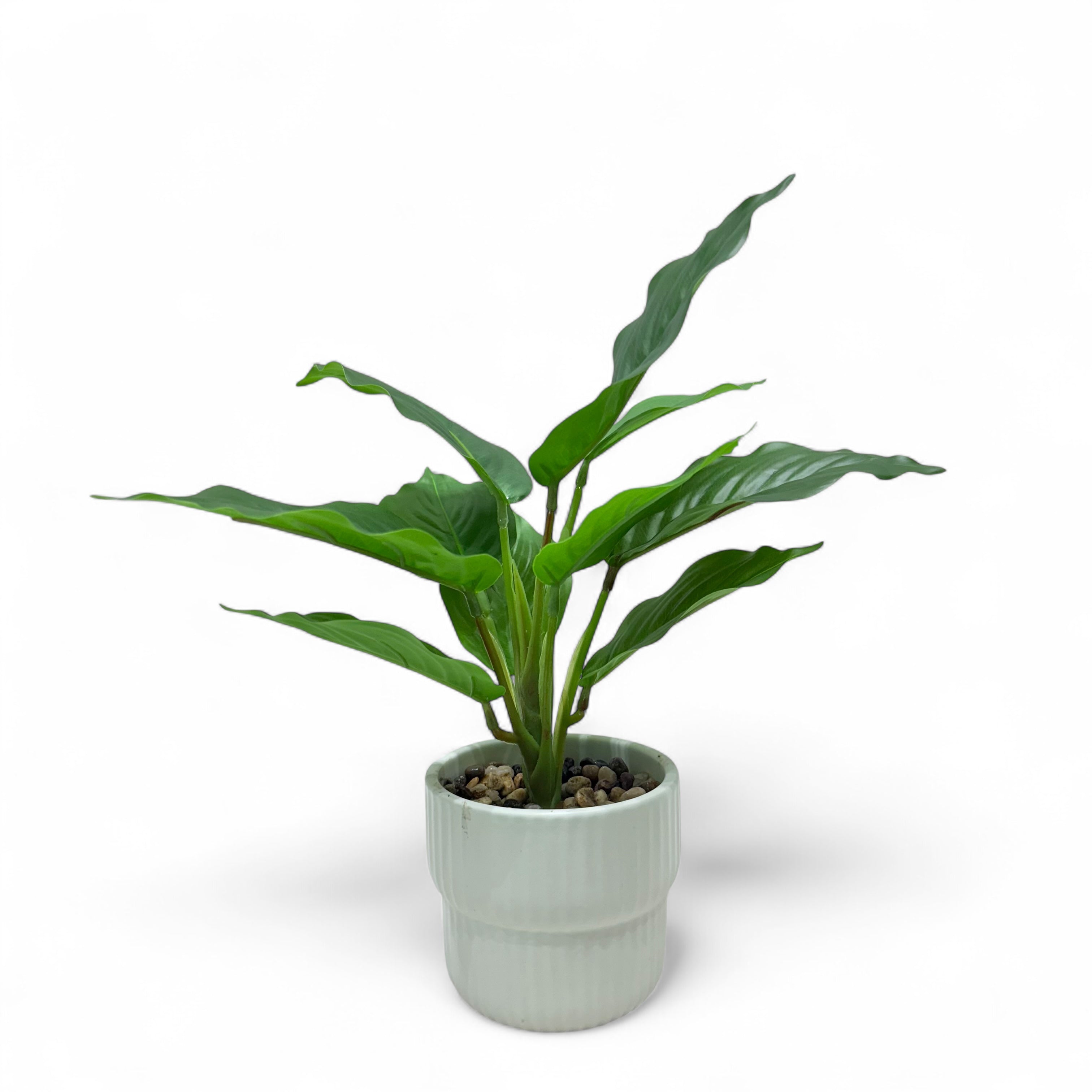 Artificial Peace Lily Plant