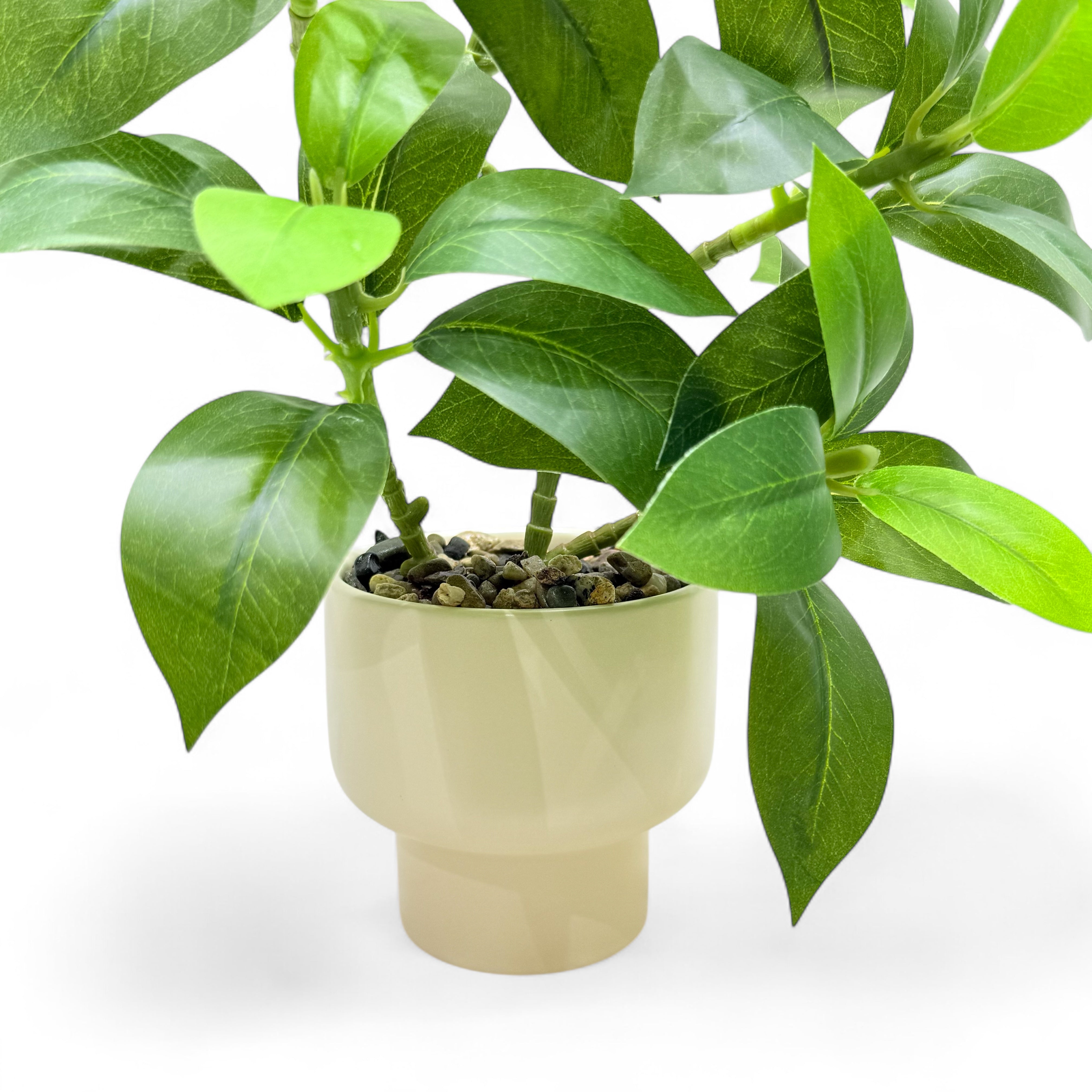 Artificial Rubber Plant (Ficus Elastica)