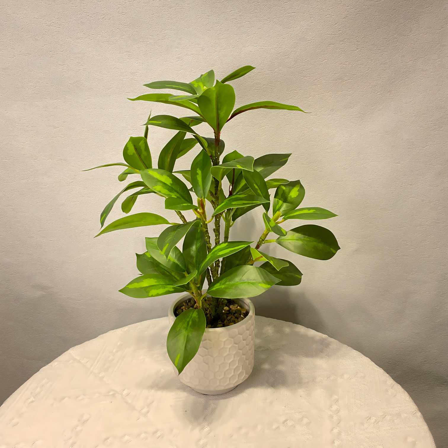 Artificial Ficus Elastica Plant