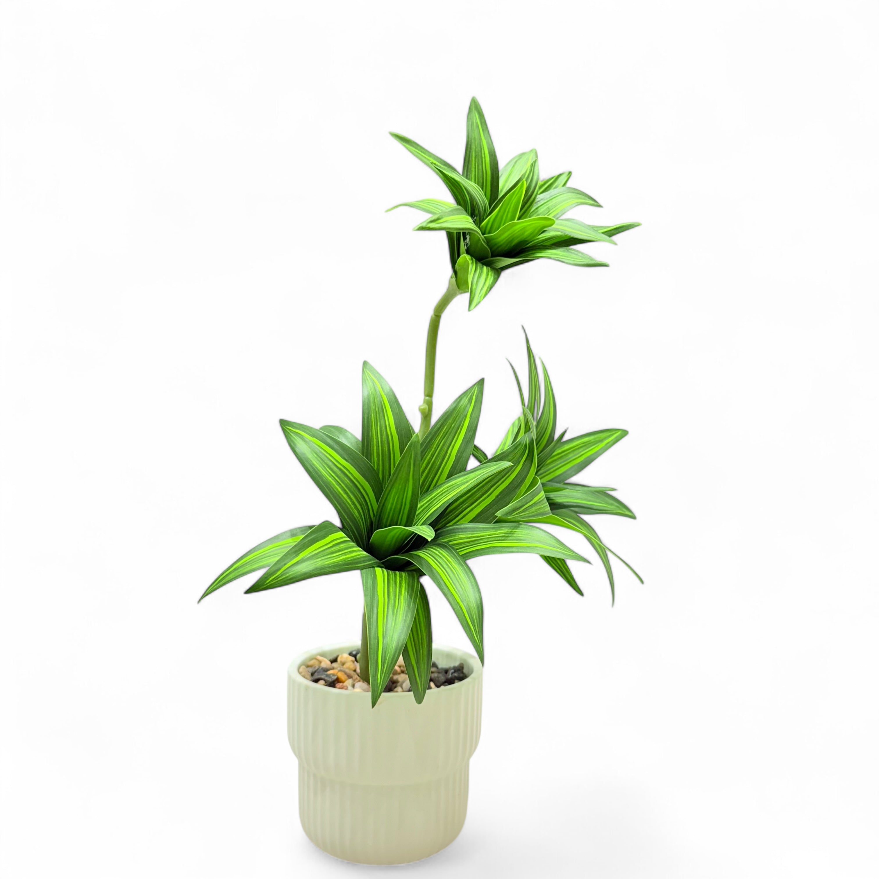 Artificial Dracaena Compacta Plant