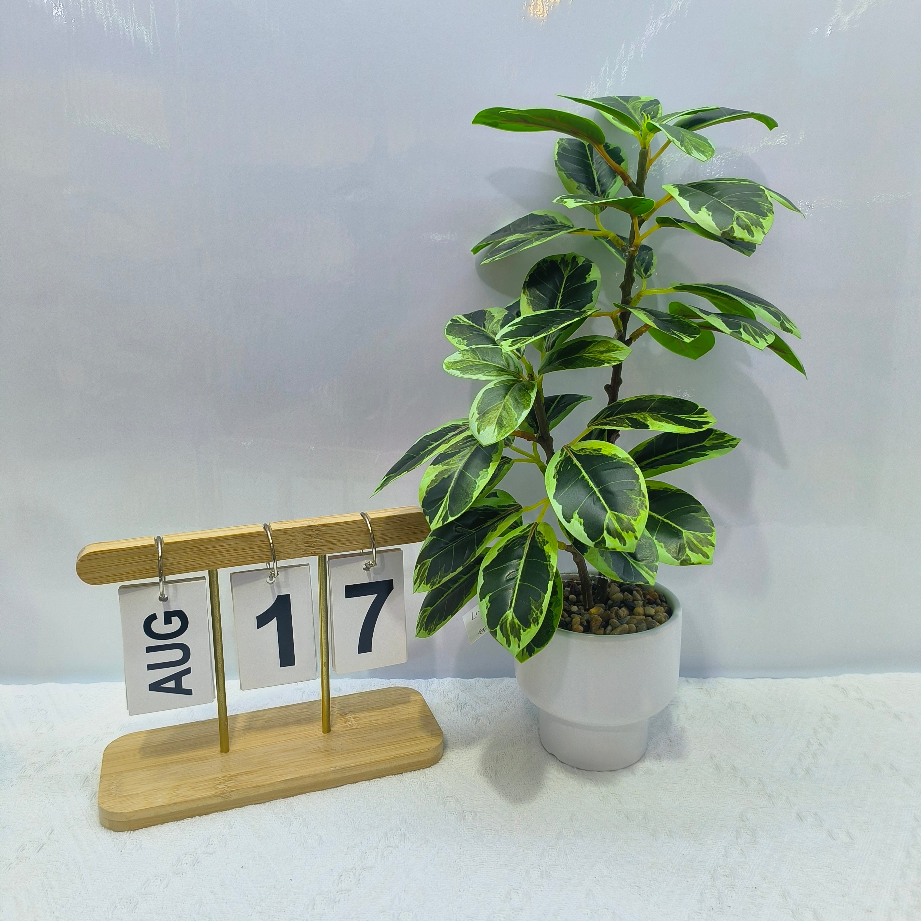 Artificial Rubber Plant.