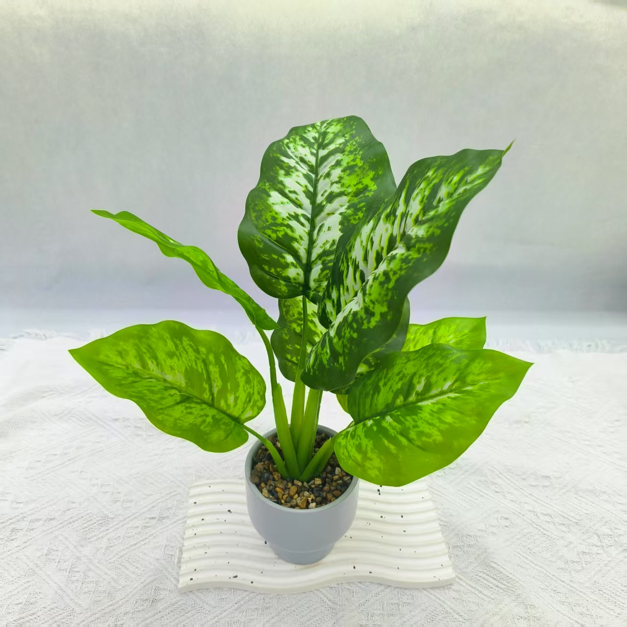 Artificial Dumb canes Plant