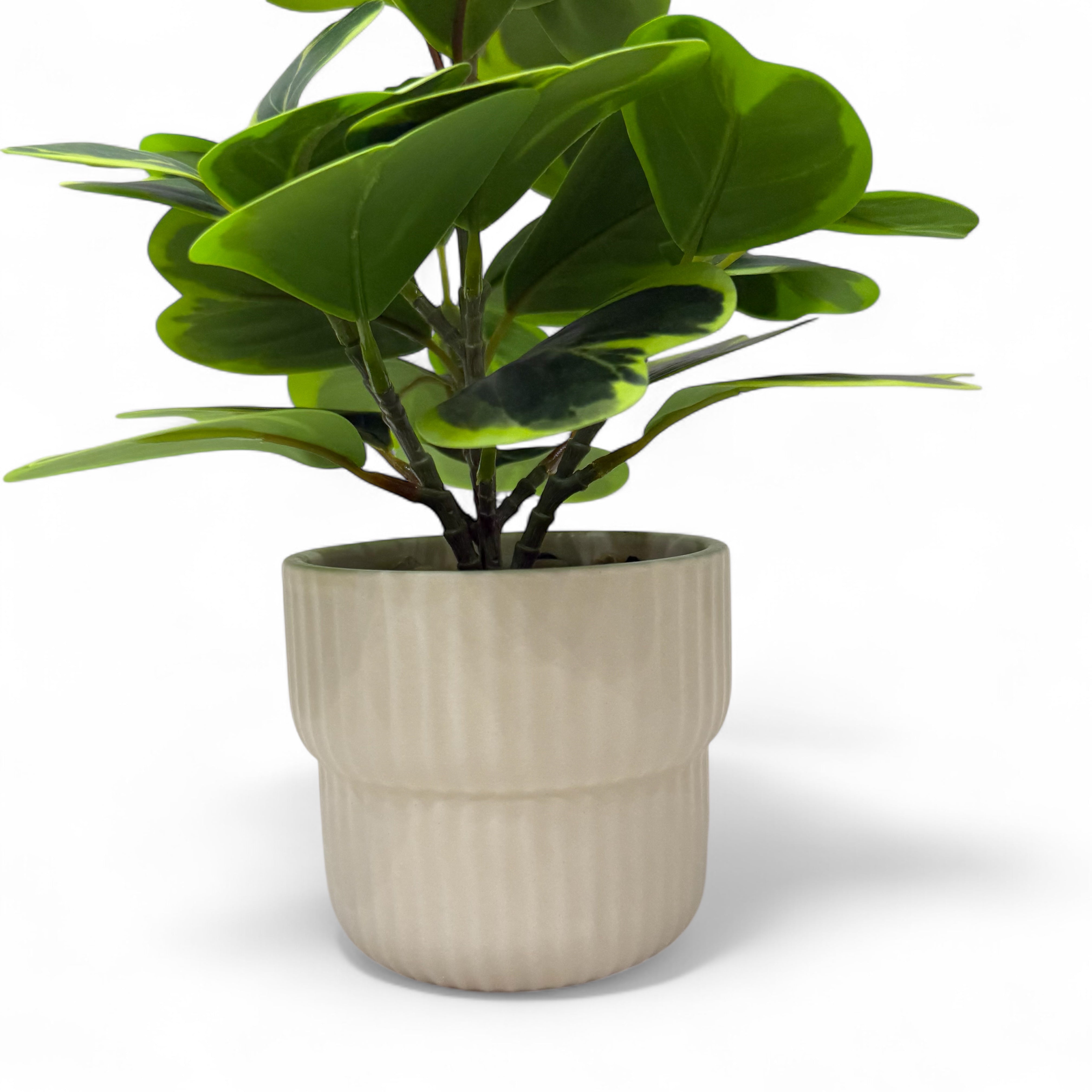 Ficus lyrata Artificial Plant