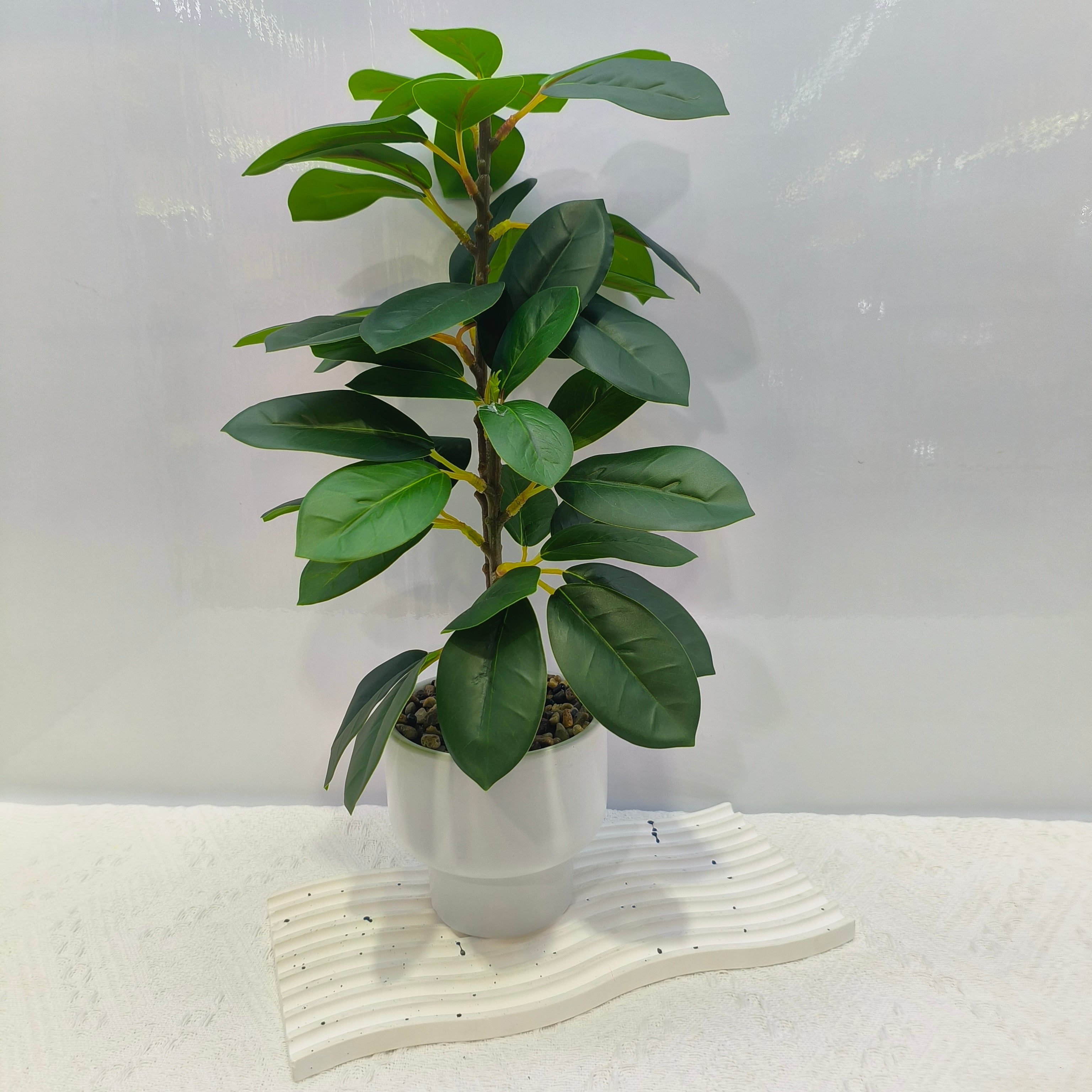 Artificial Rubber Plant.