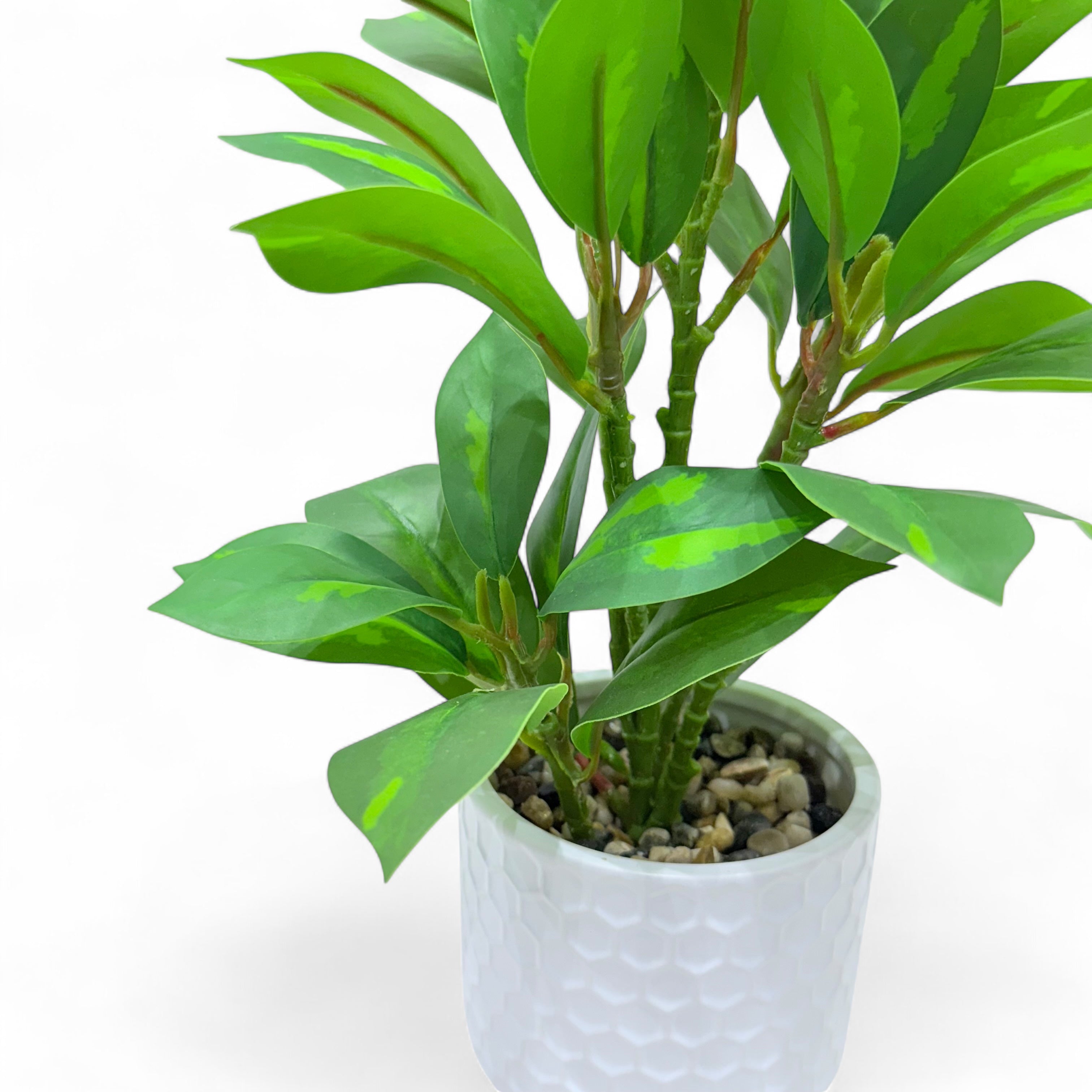 Artificial Ficus Elastica Plant