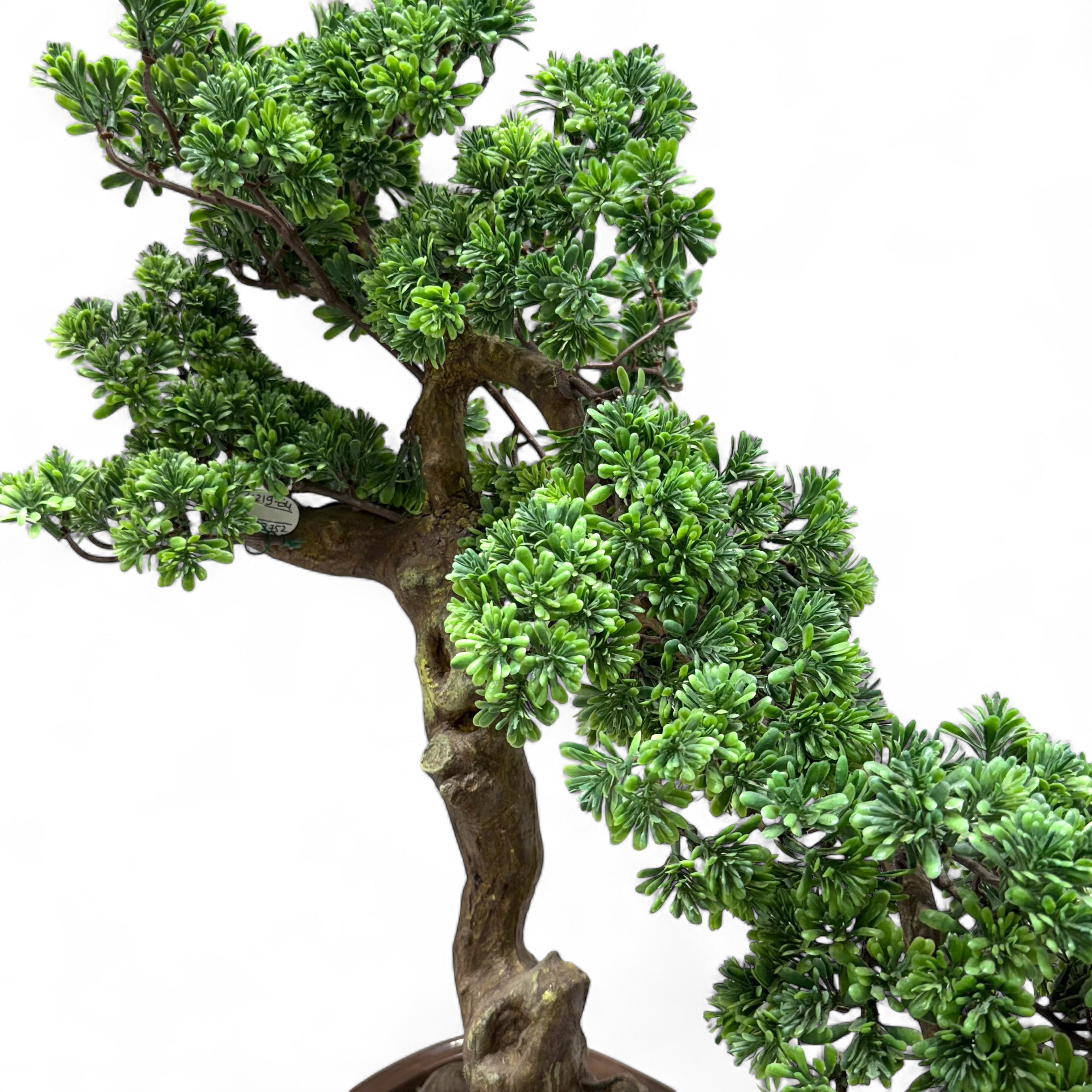 Elegant Artificial Bonsai Tree – Curved Drift Style
