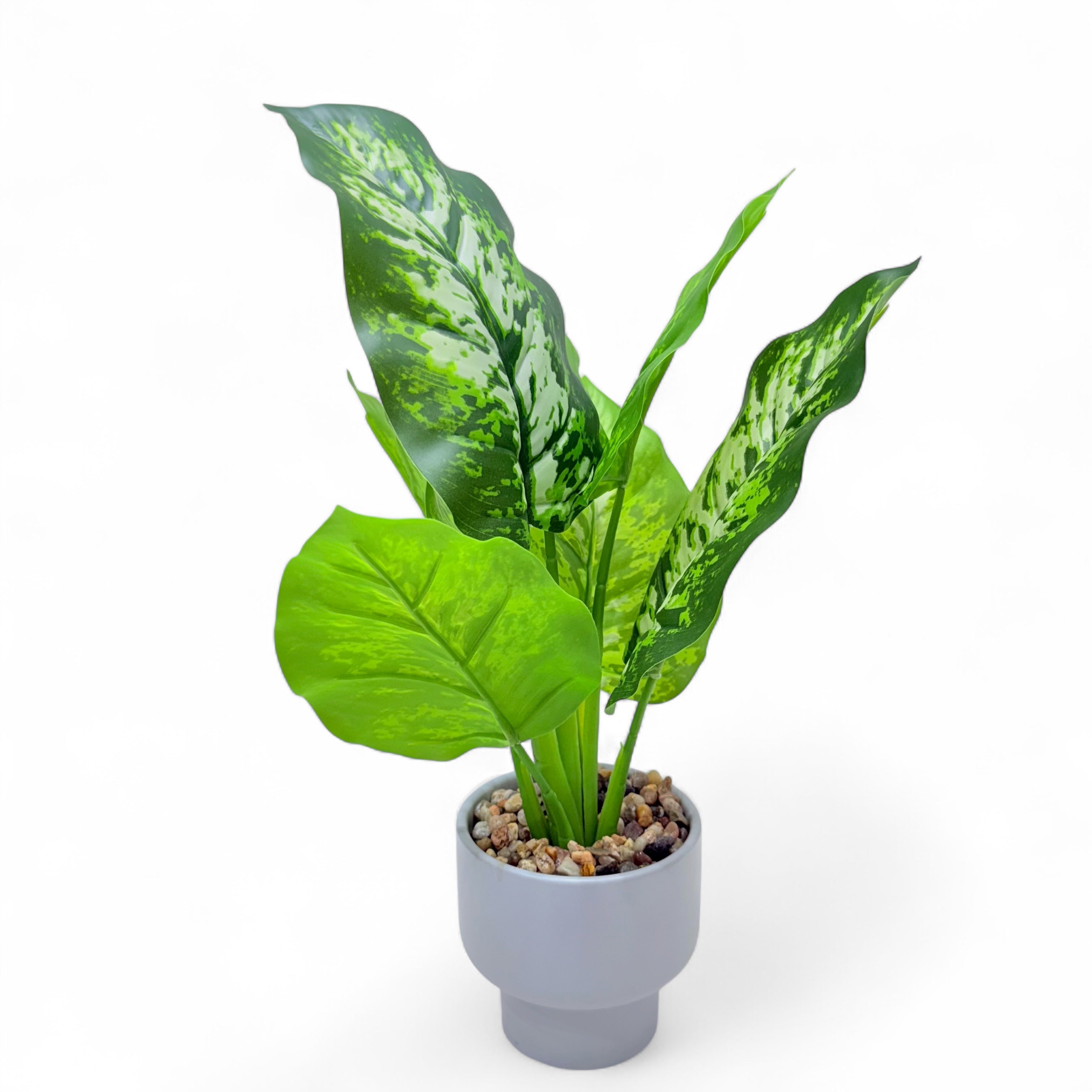 Artificial Dumb canes Plant