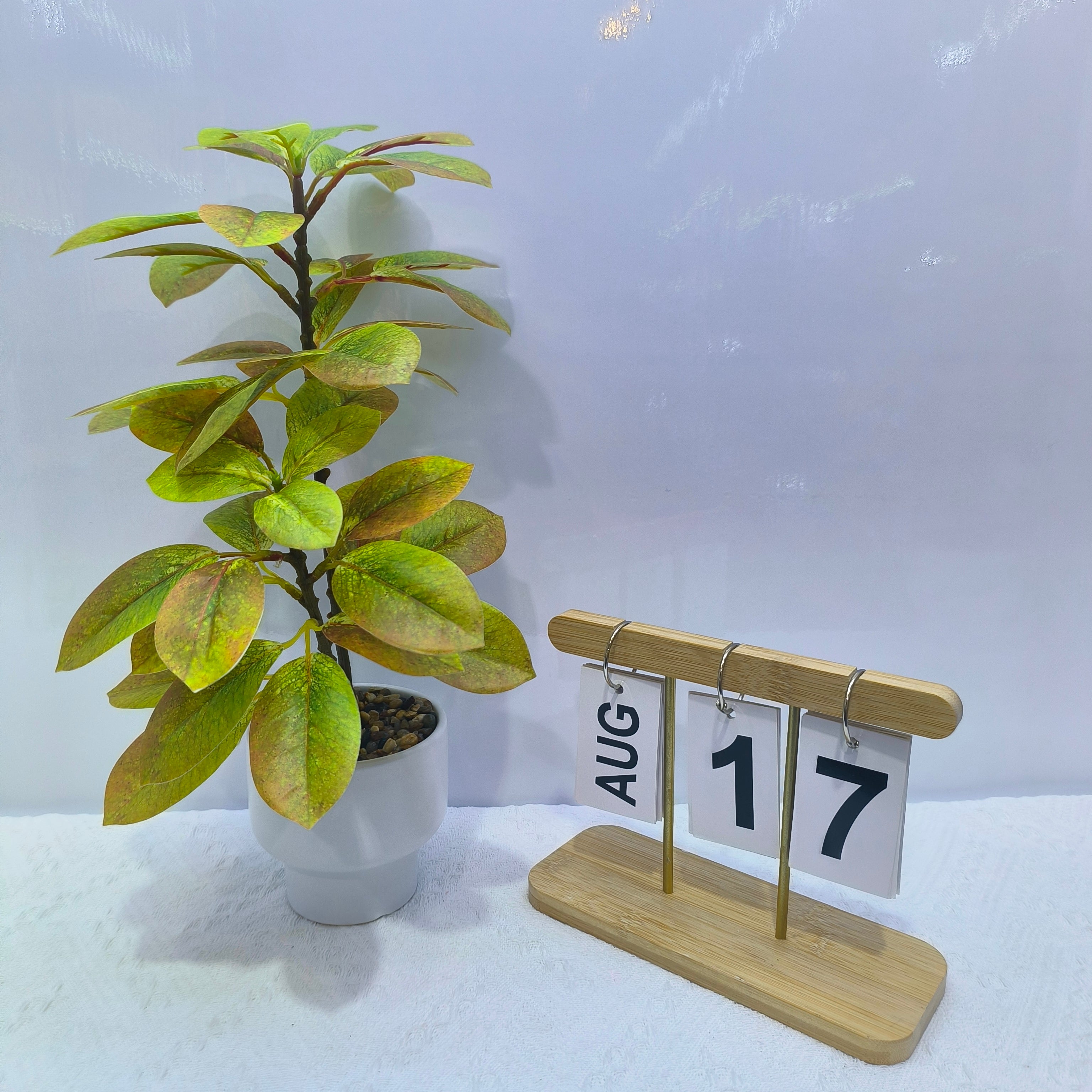Artificial Rubber Plant.