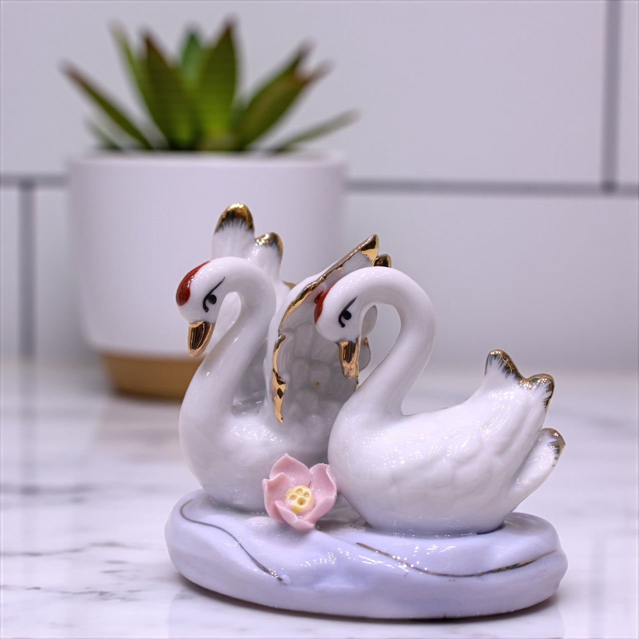 Swan Symphony