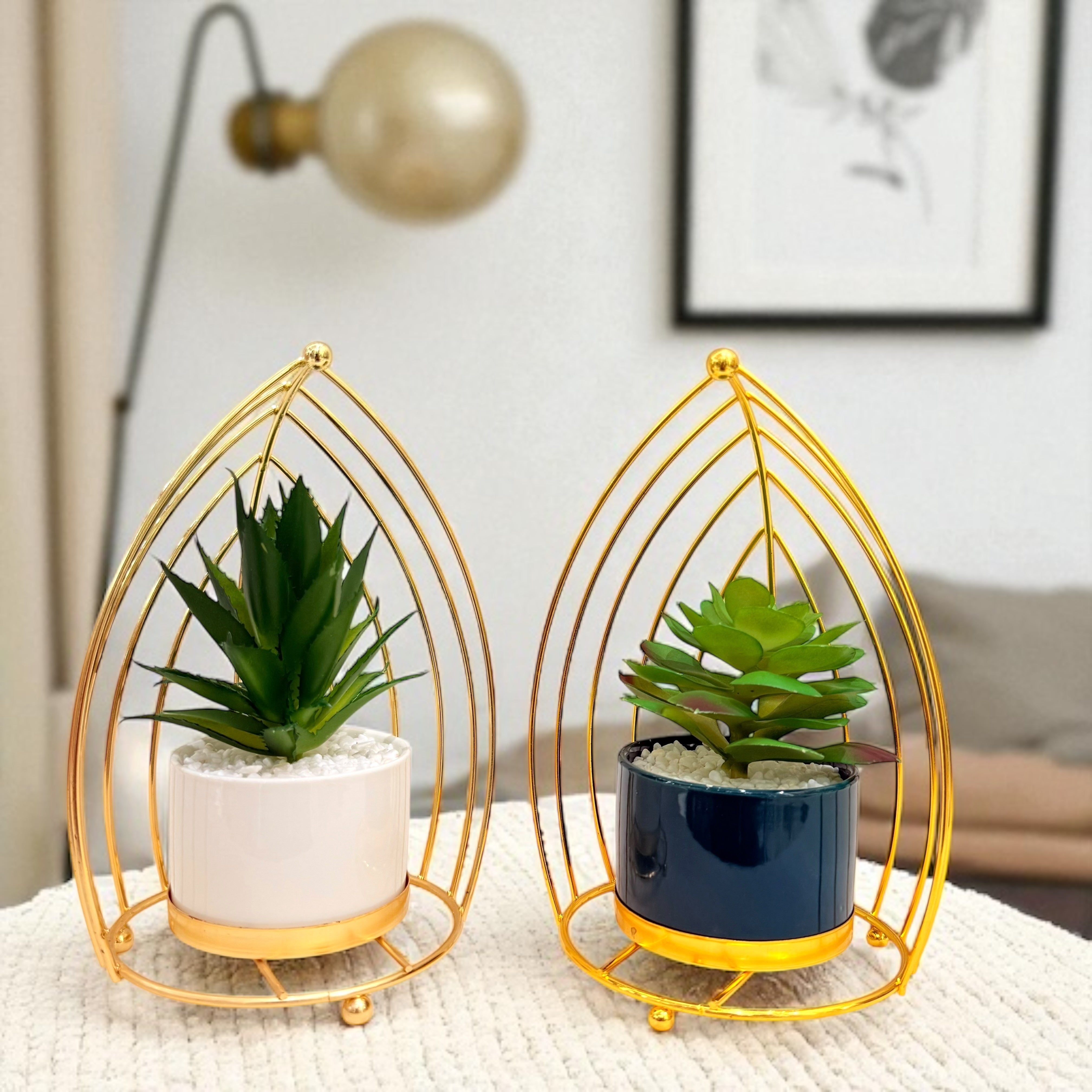 Artificial Succulent Plant Set - Classic