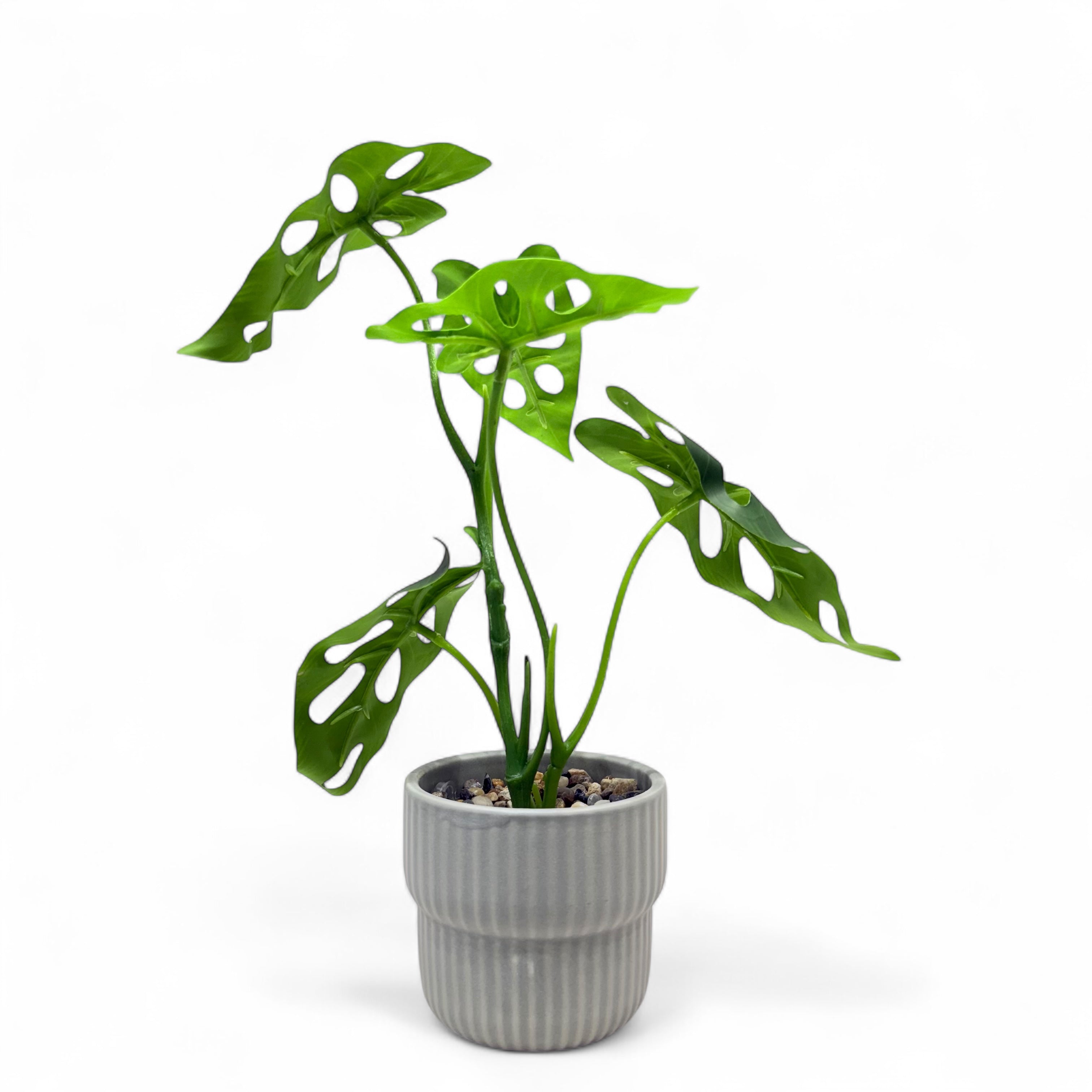 Artificial Monstera Adansonii Plant