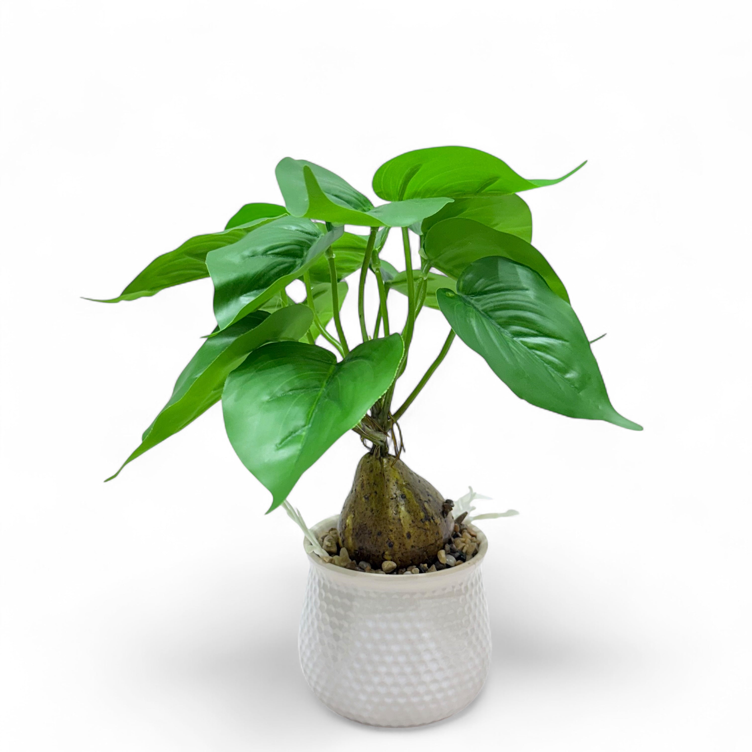 Artificial Philodendron & Monstera Tabletop Plants