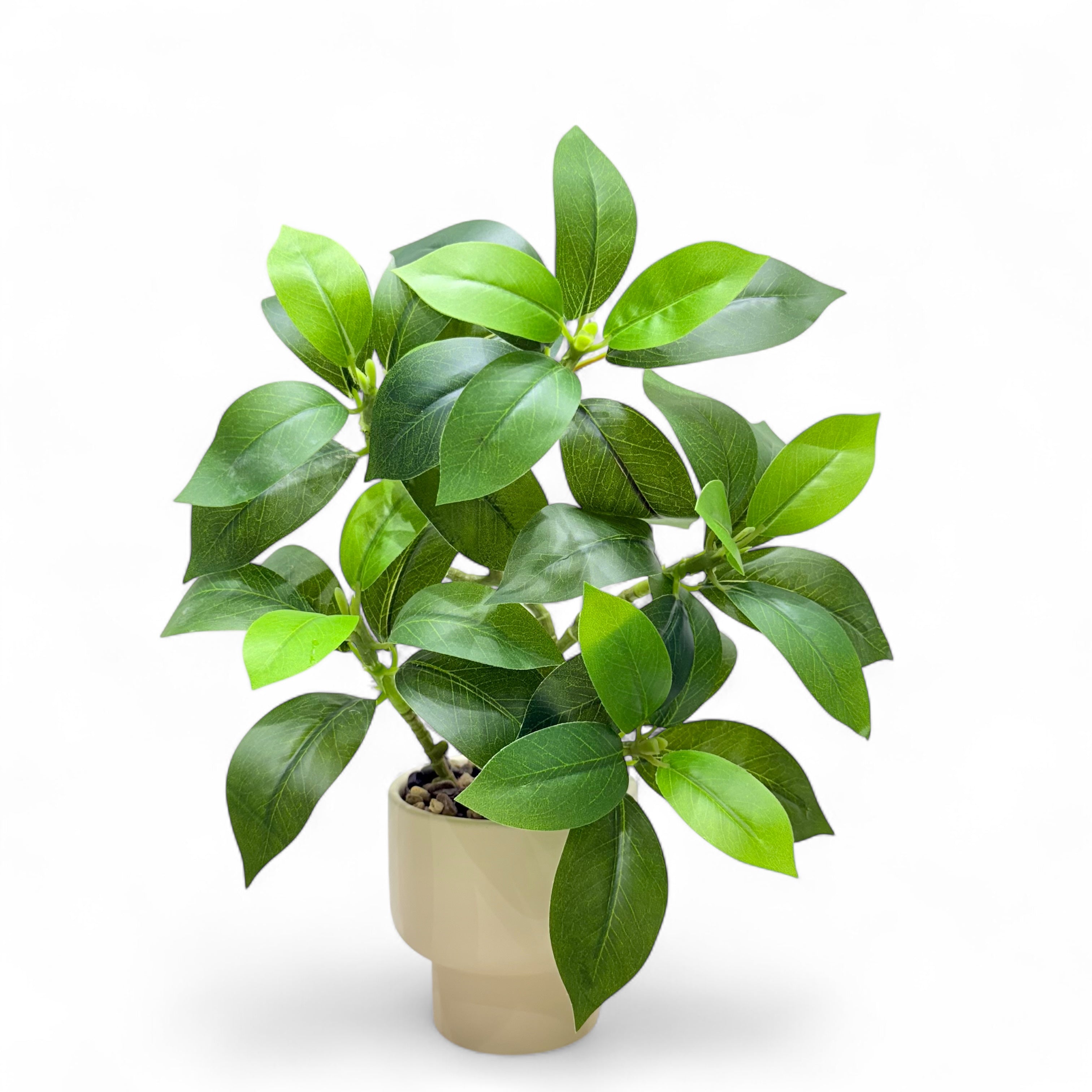 Artificial Rubber Plant (Ficus Elastica)