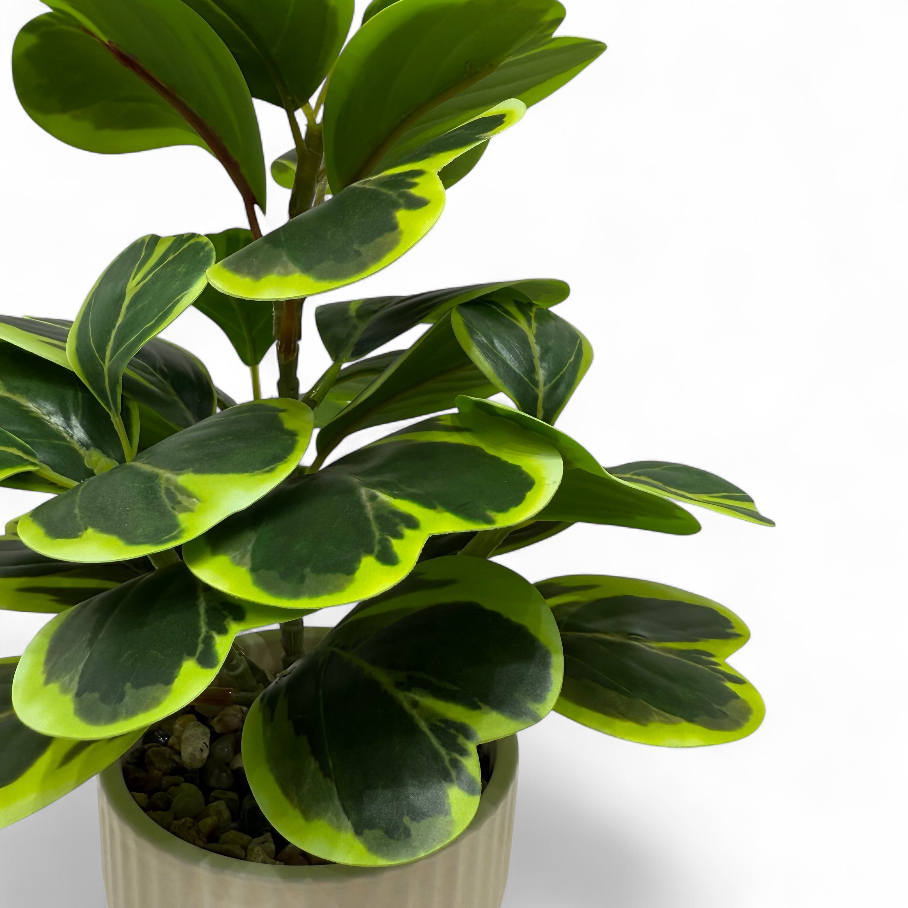 Ficus lyrata Artificial Plant