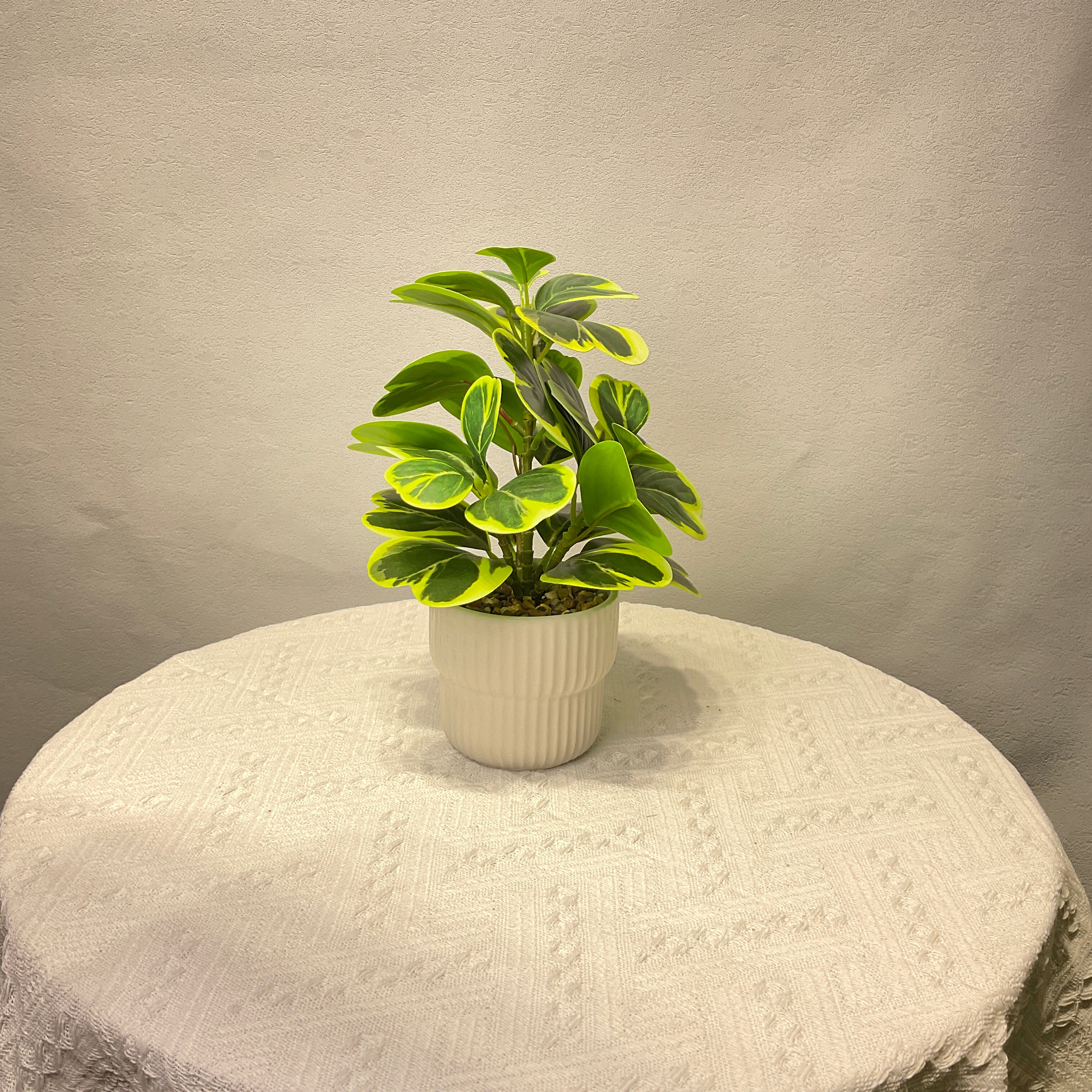 Ficus lyrata Artificial Plant