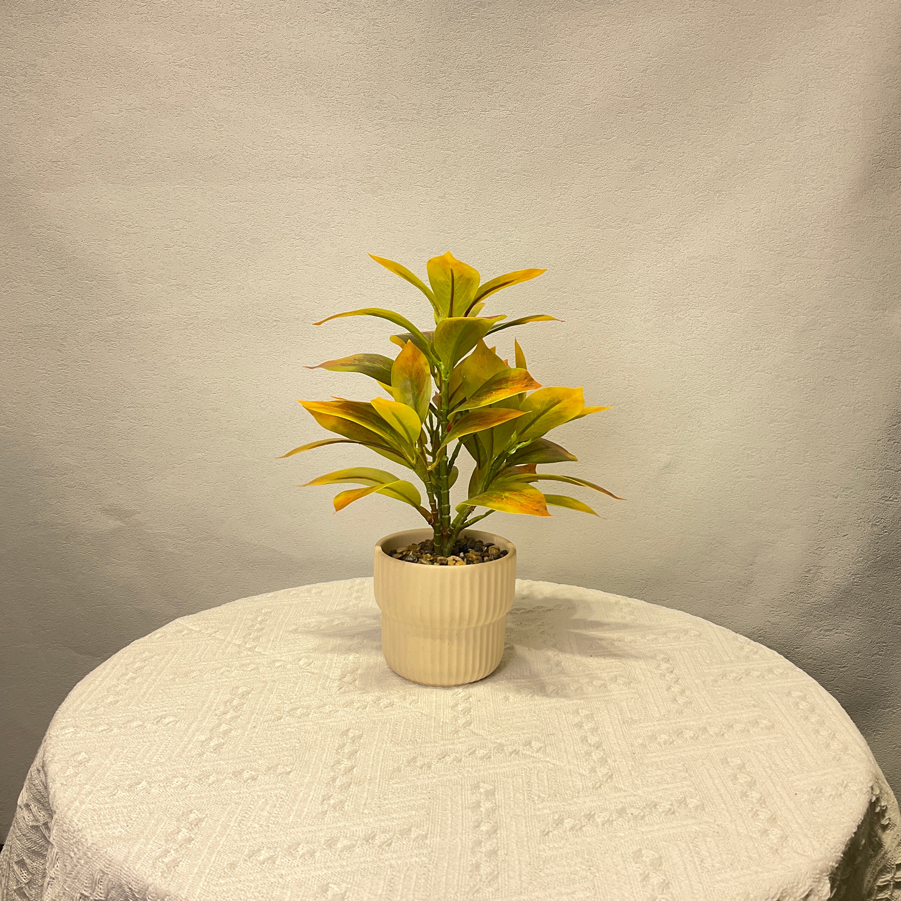 Ficus lyrata Artificial Plant