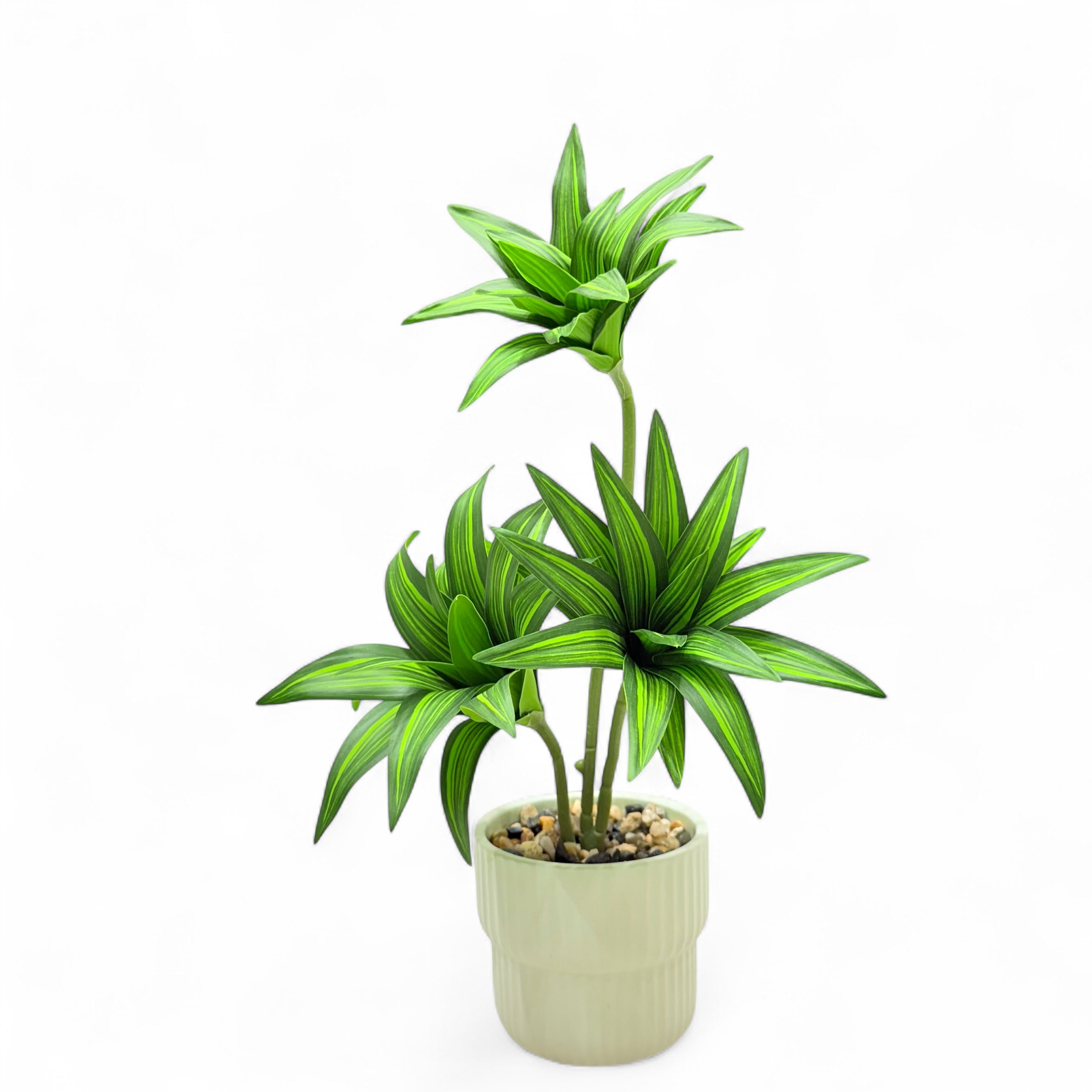Artificial Dracaena Compacta Plant