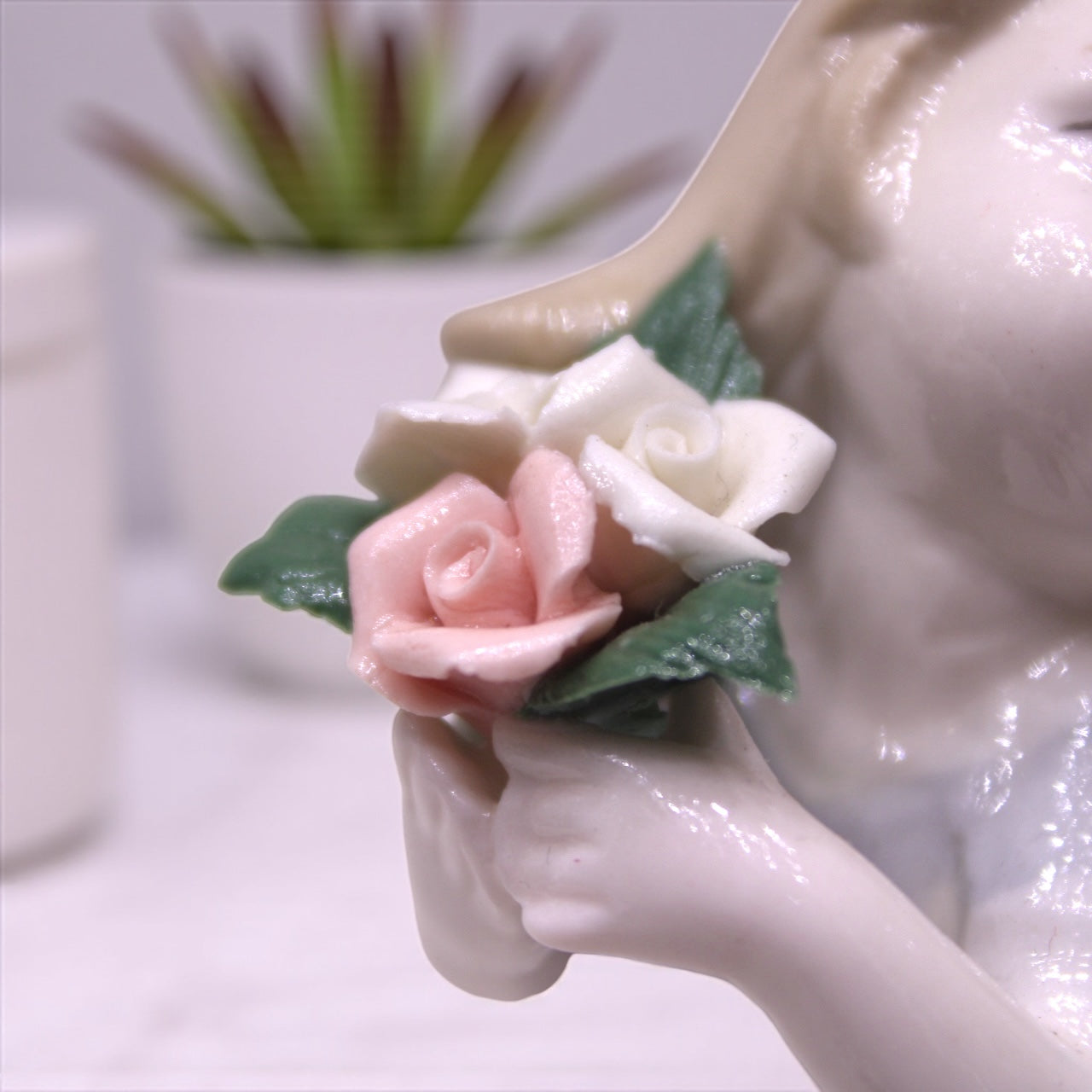 Petal Dreams