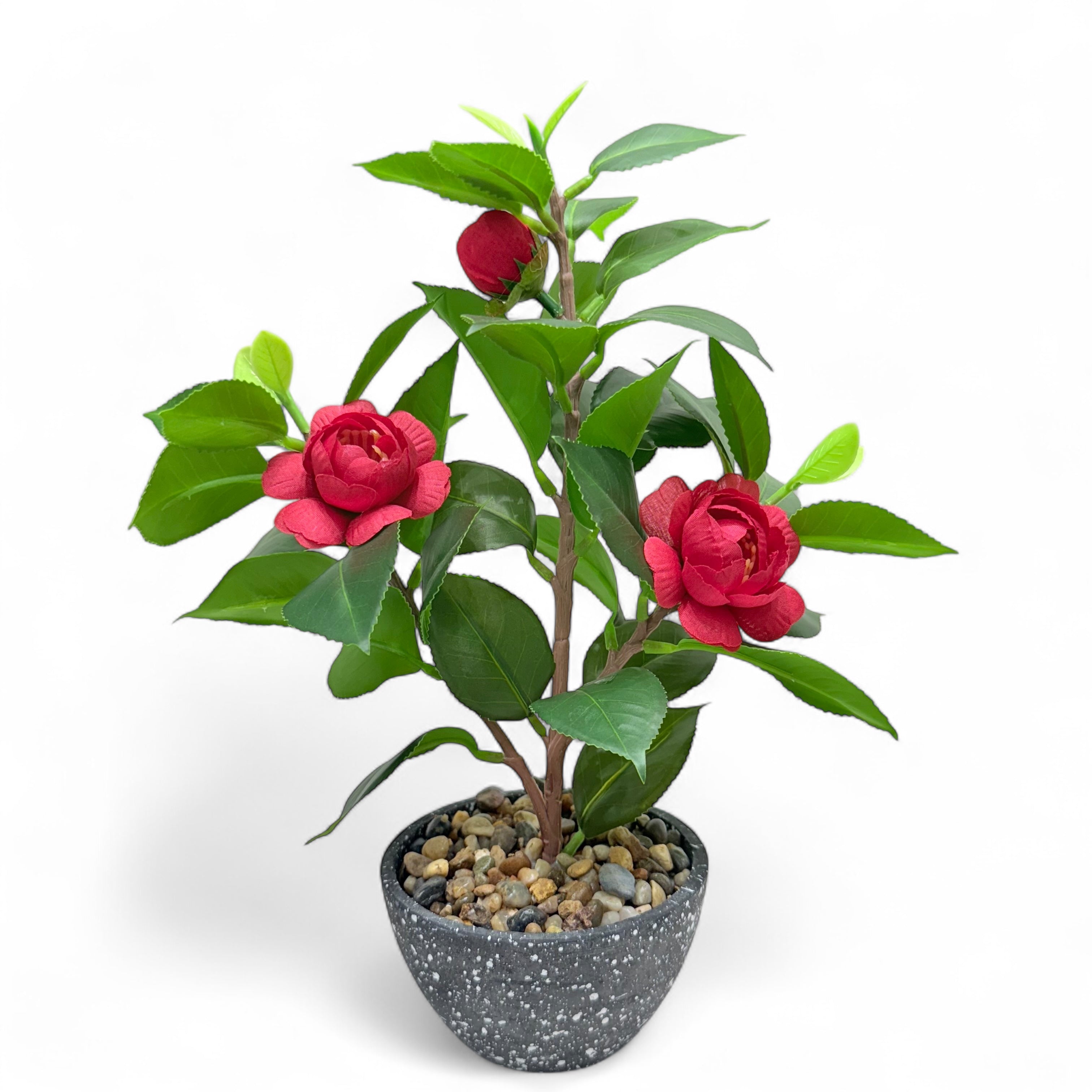 Blossom Duo – Camellia Elegance