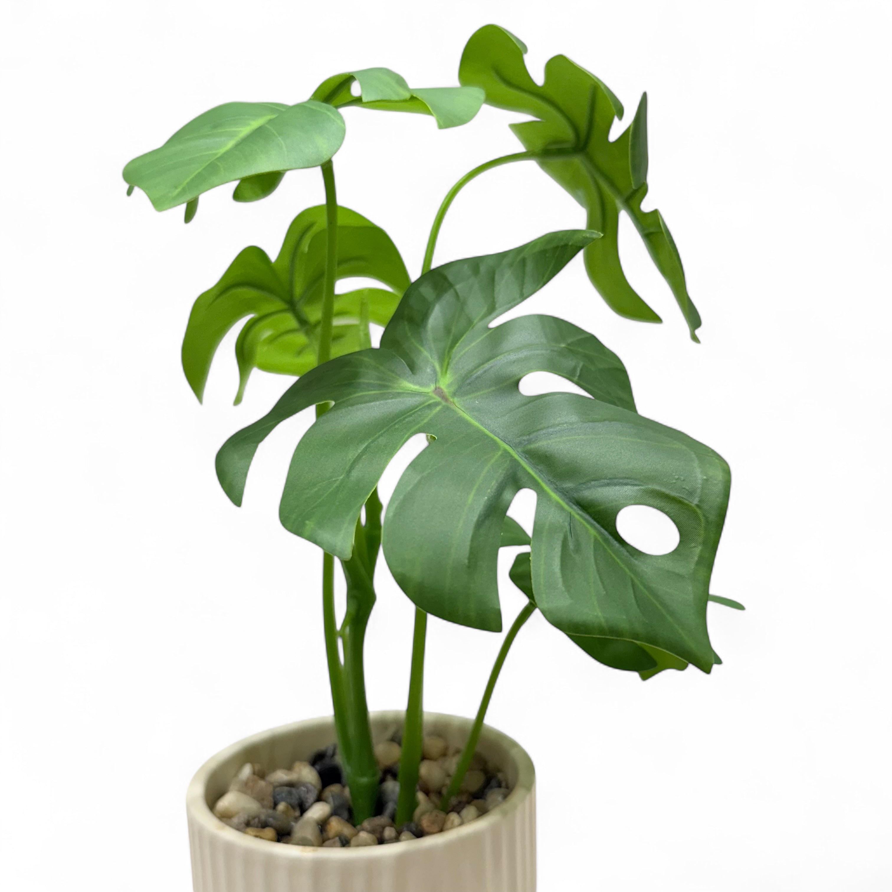 Mini Monstera Deliciosa Artificial Plant