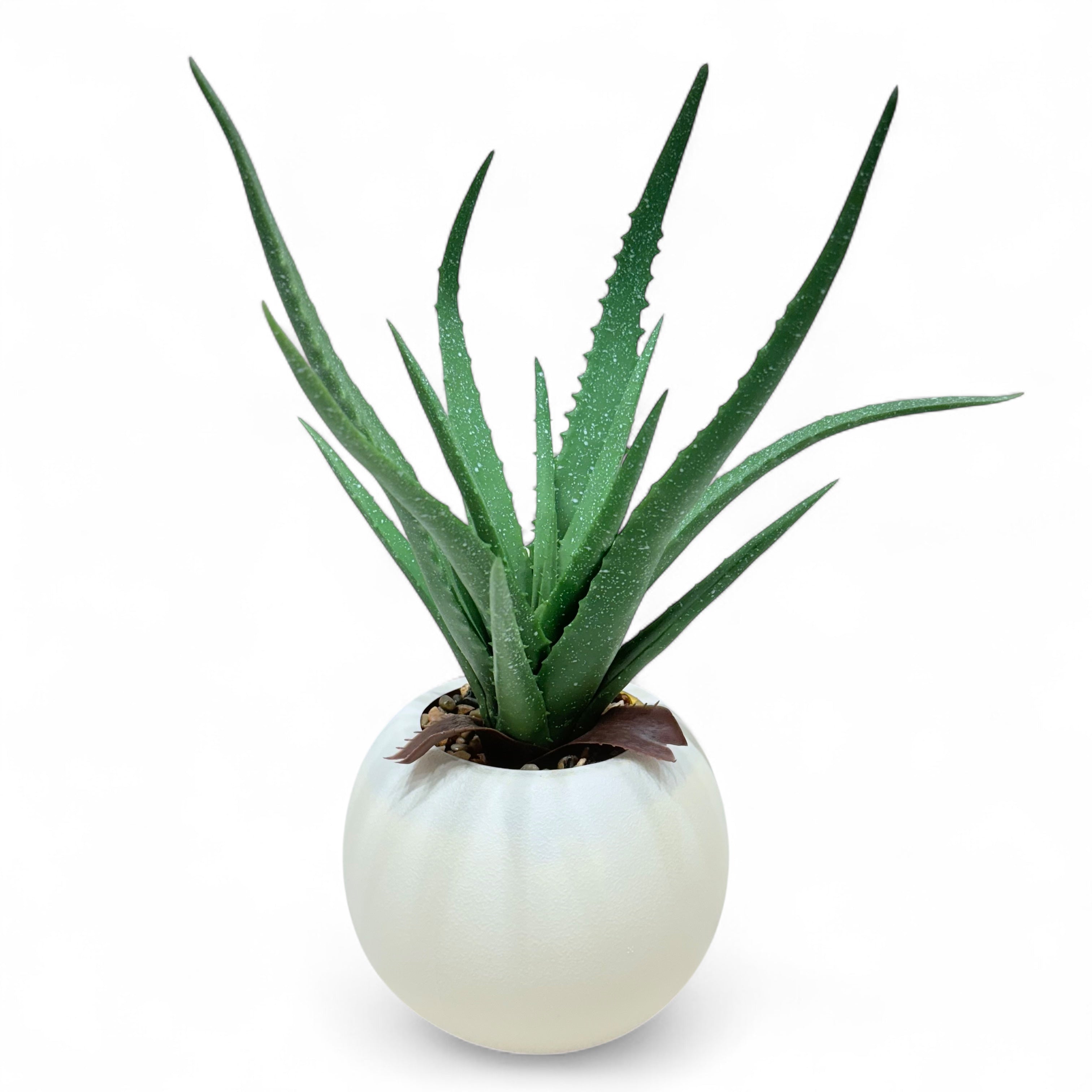 Serene Aloe Orb