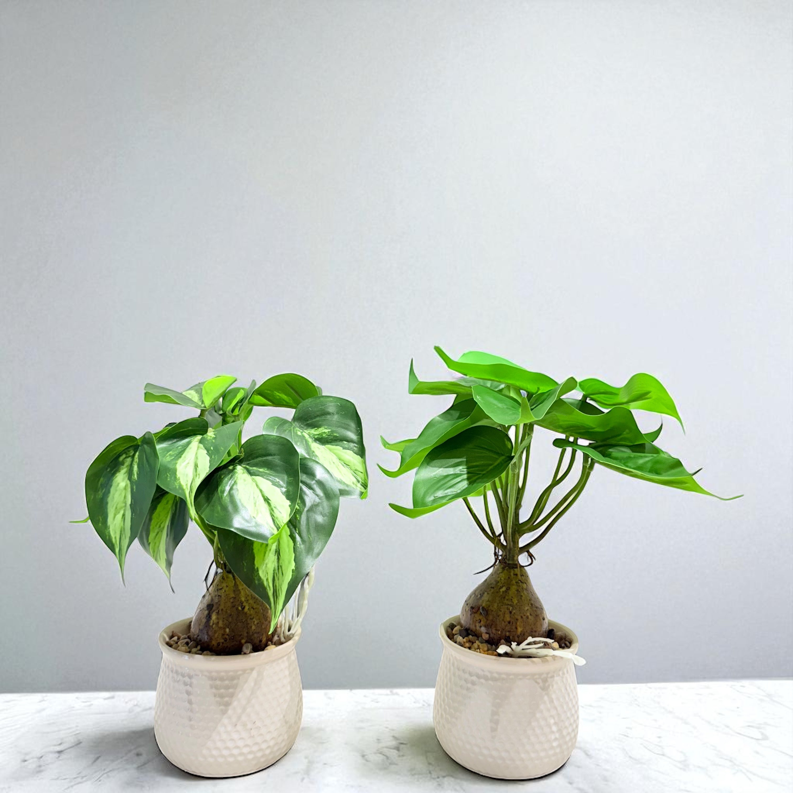 Artificial Philodendron & Monstera Tabletop Plants