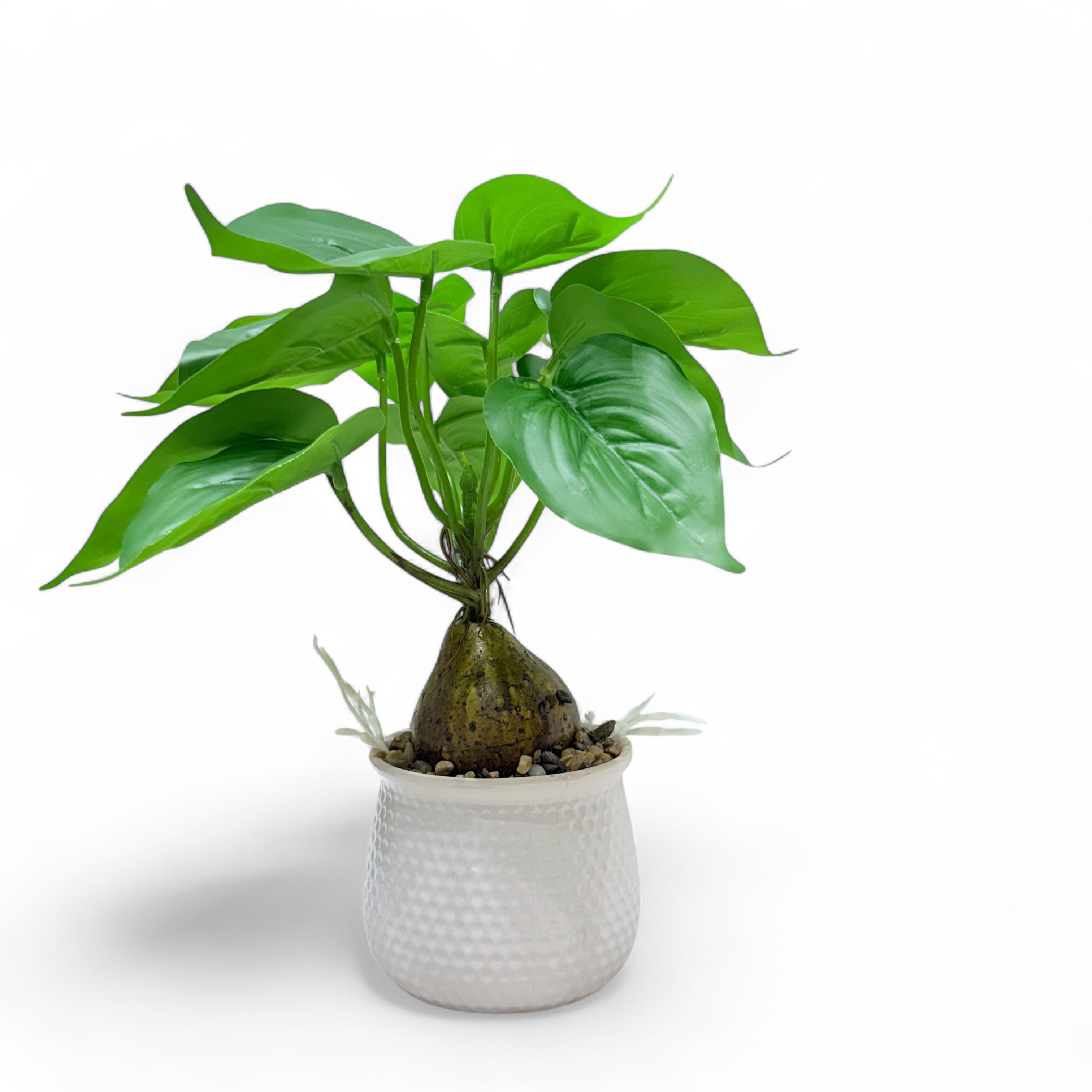 Artificial Philodendron & Monstera Tabletop Plants