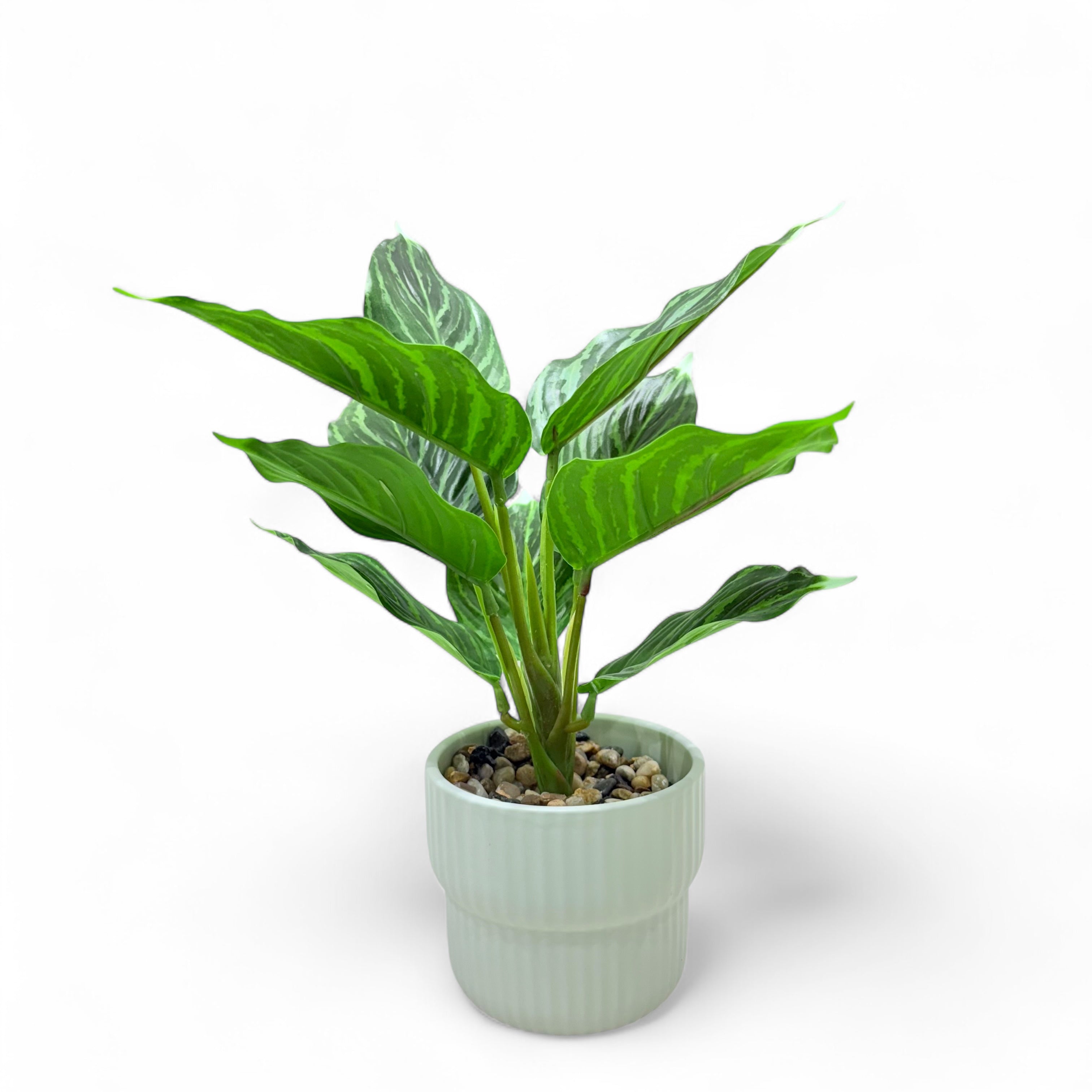 Artificial Calathea Plant