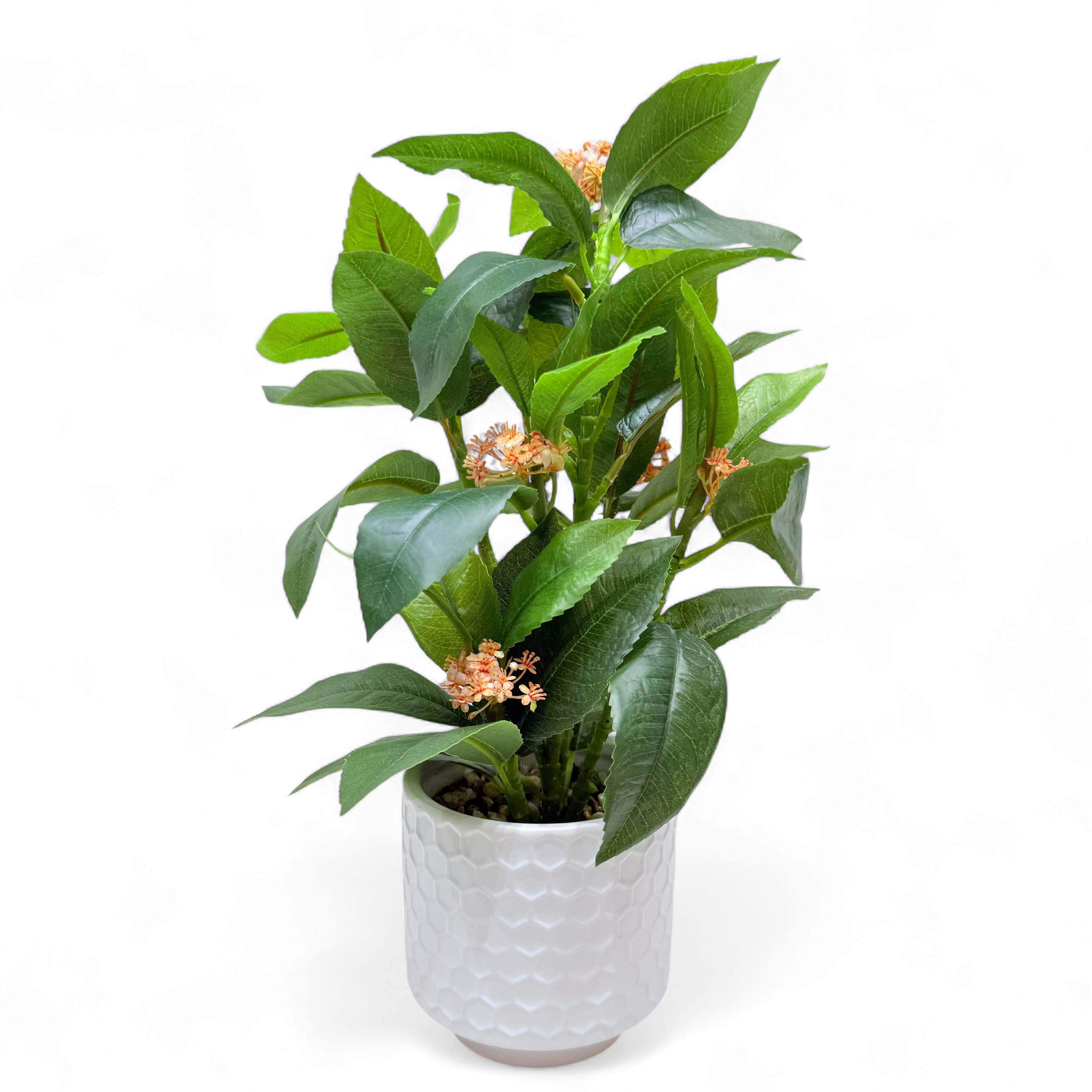 Orange Bloom Camellia Artificial Plant