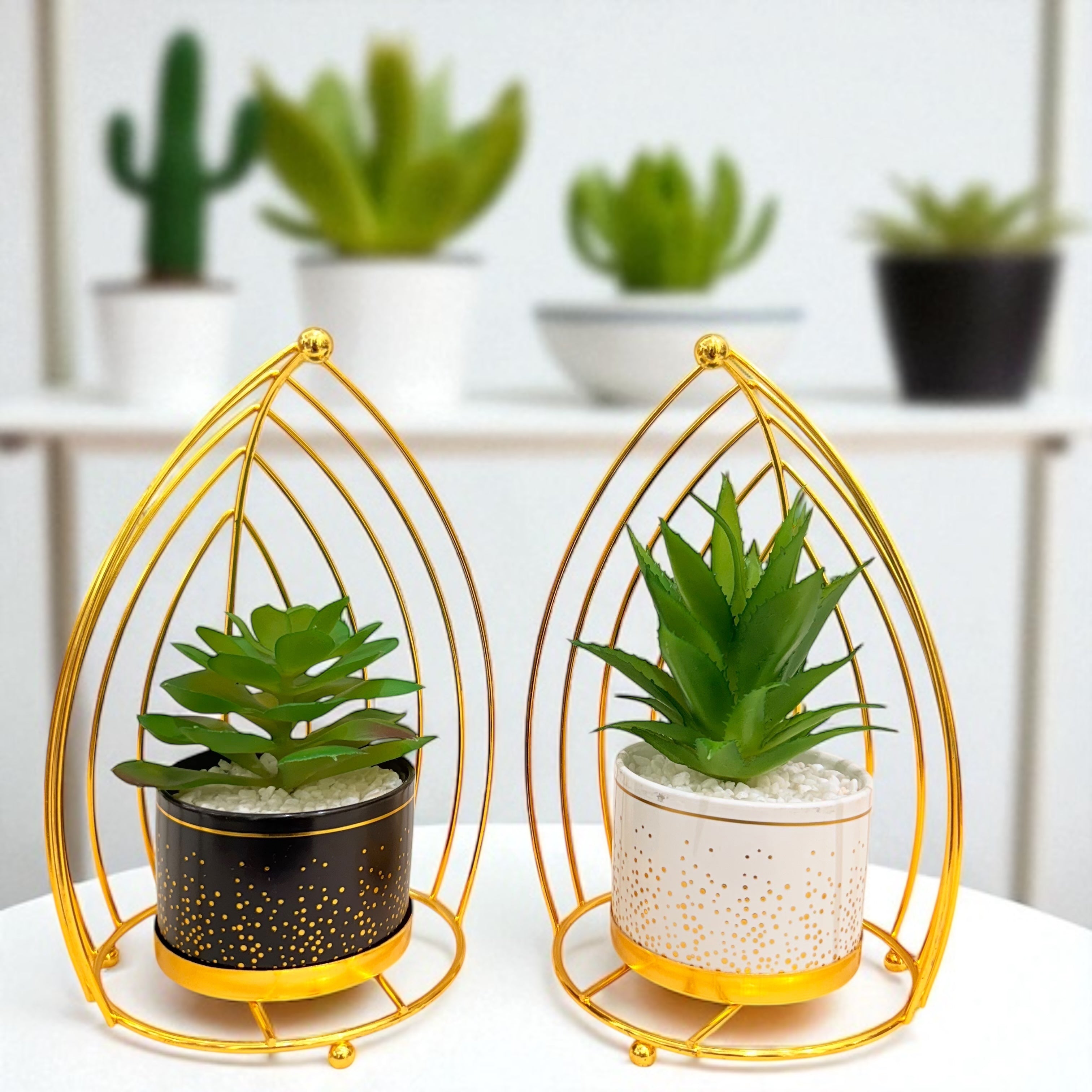 Artificial Succulent Plant Set - Printed