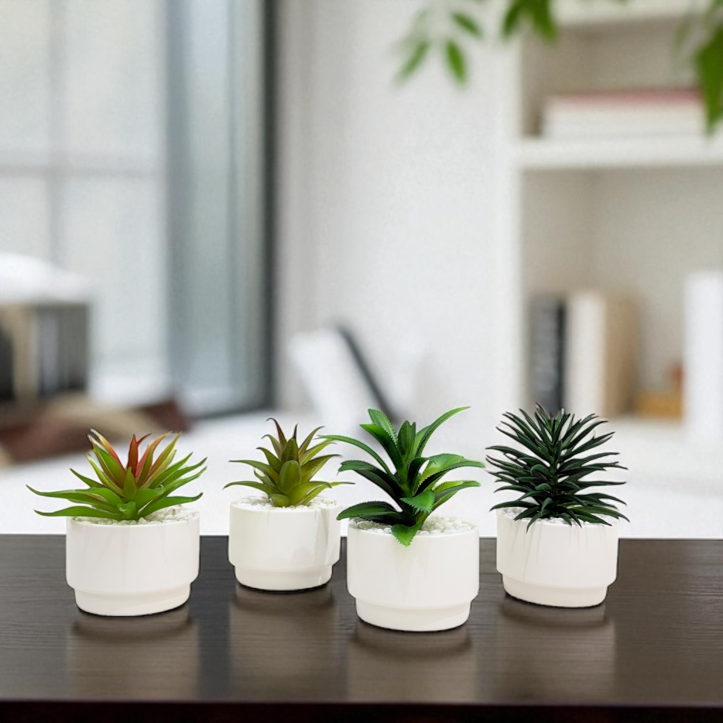 Mini Bliss Artificial Succulent Plant Set