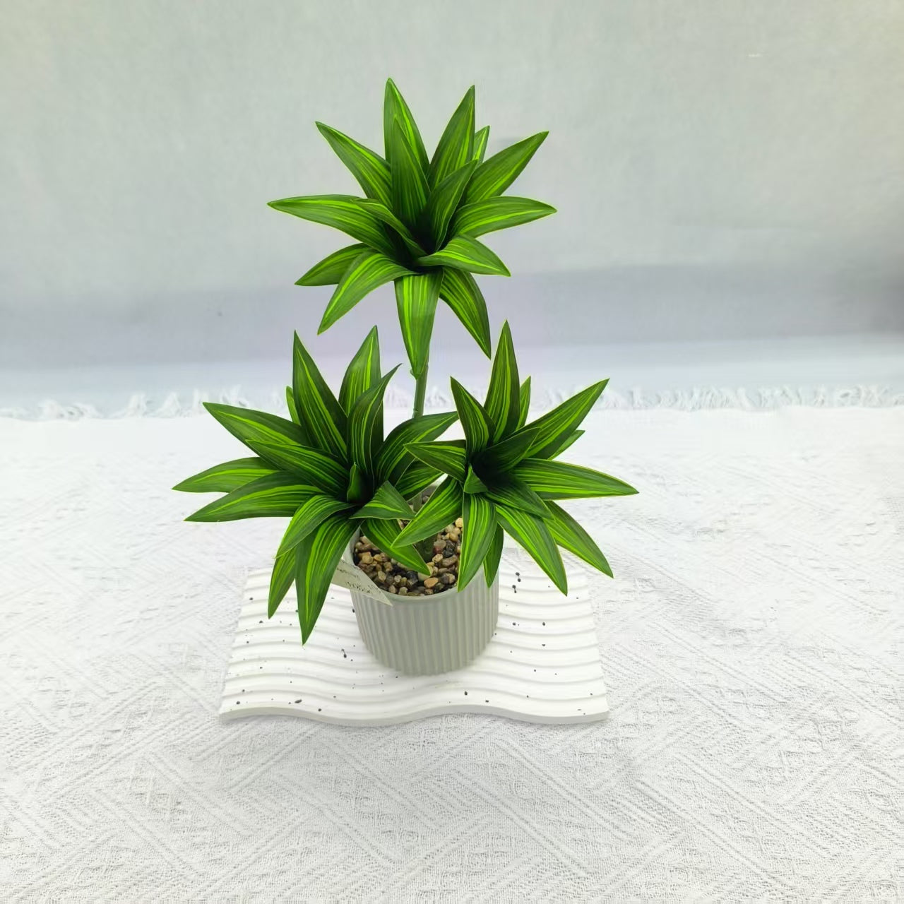 Artificial Dracaena Compacta Plant