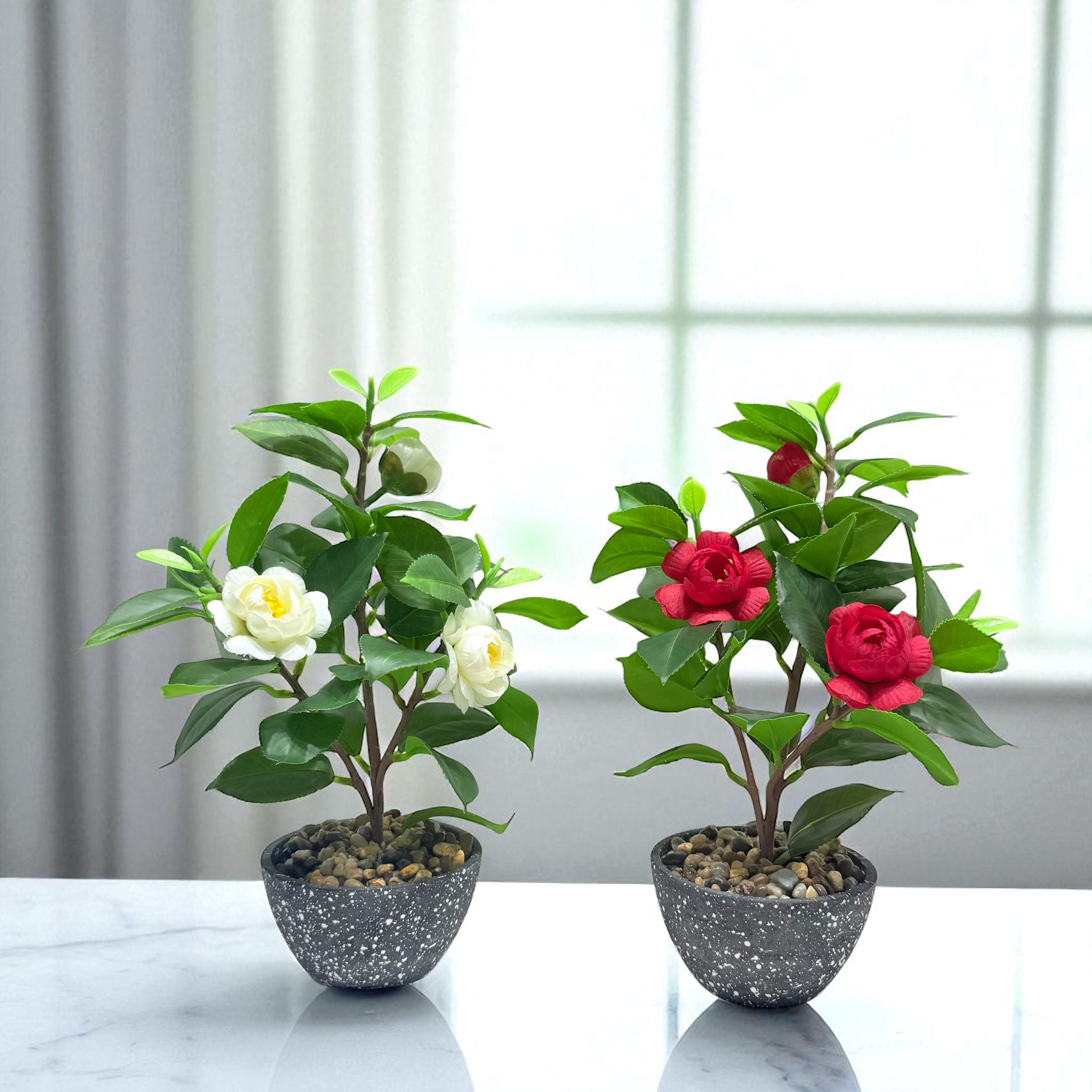 Blossom Duo – Camellia Elegance