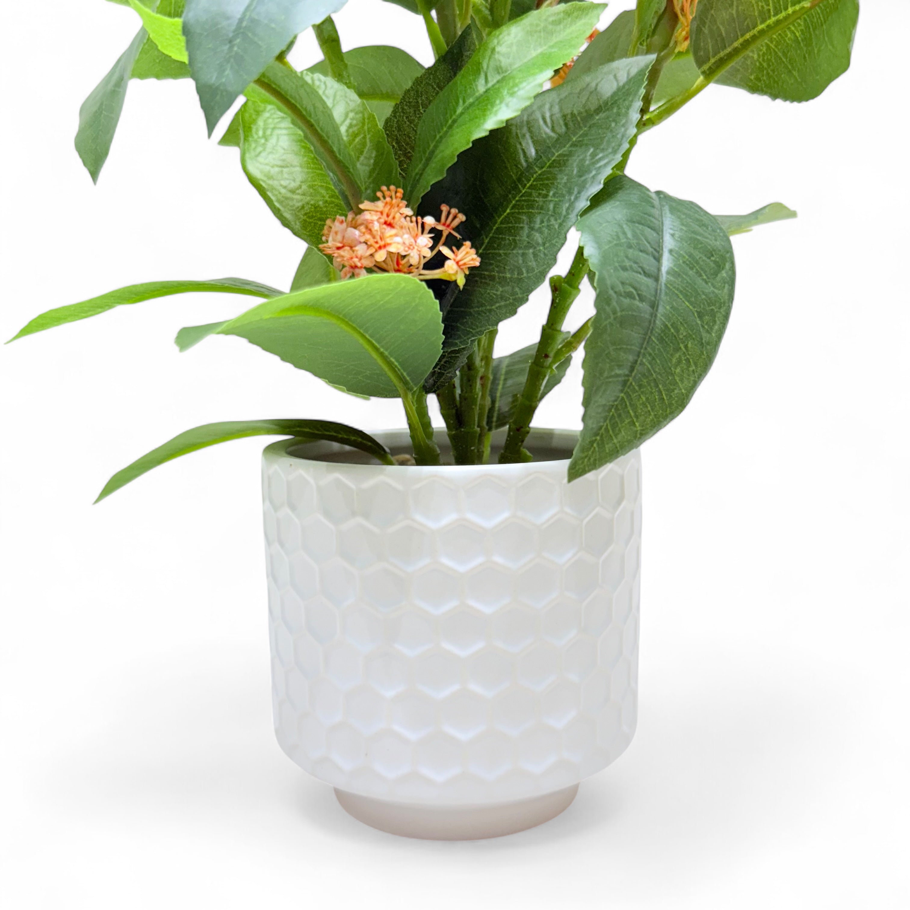 Orange Bloom Camellia Artificial Plant