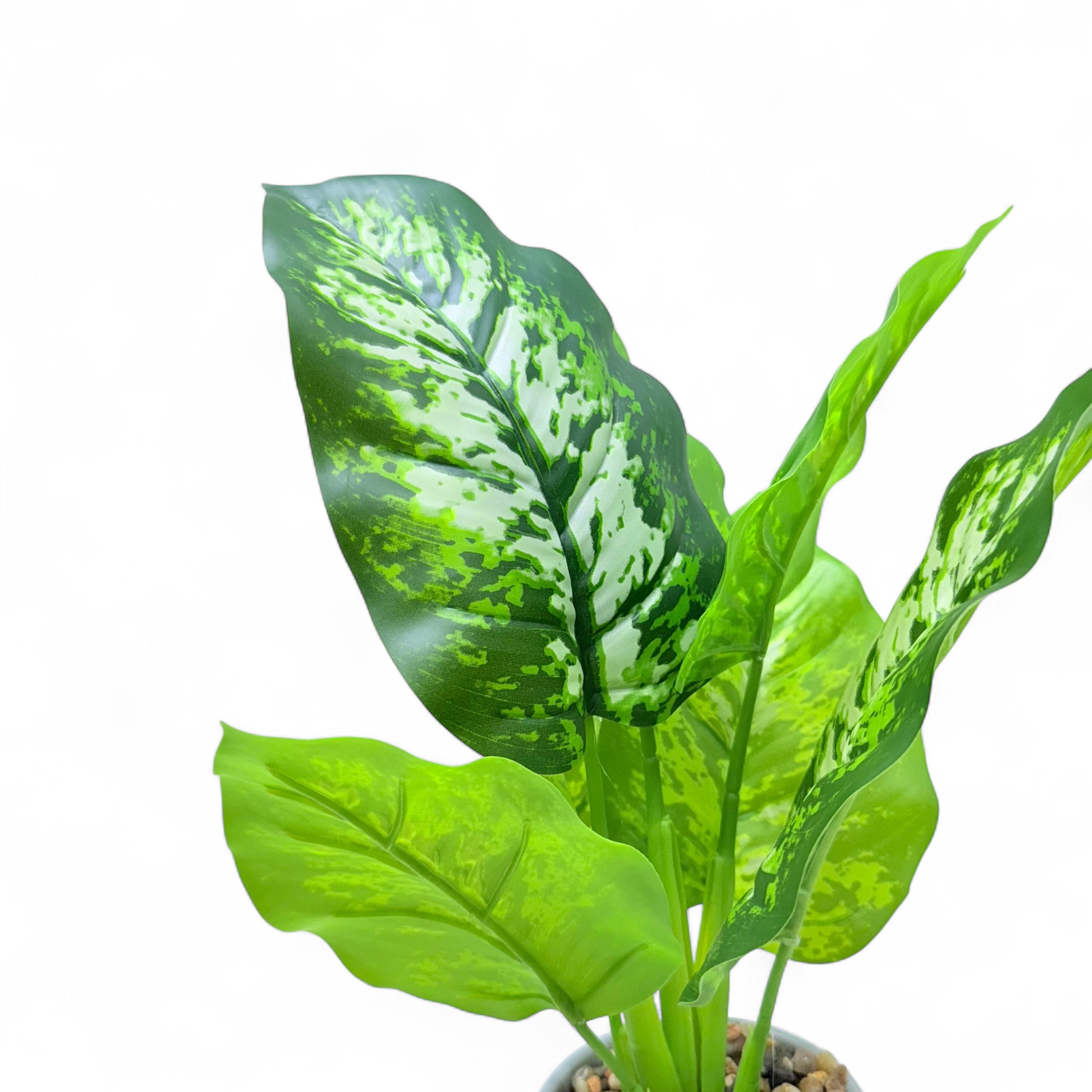 Artificial Dumb canes Plant