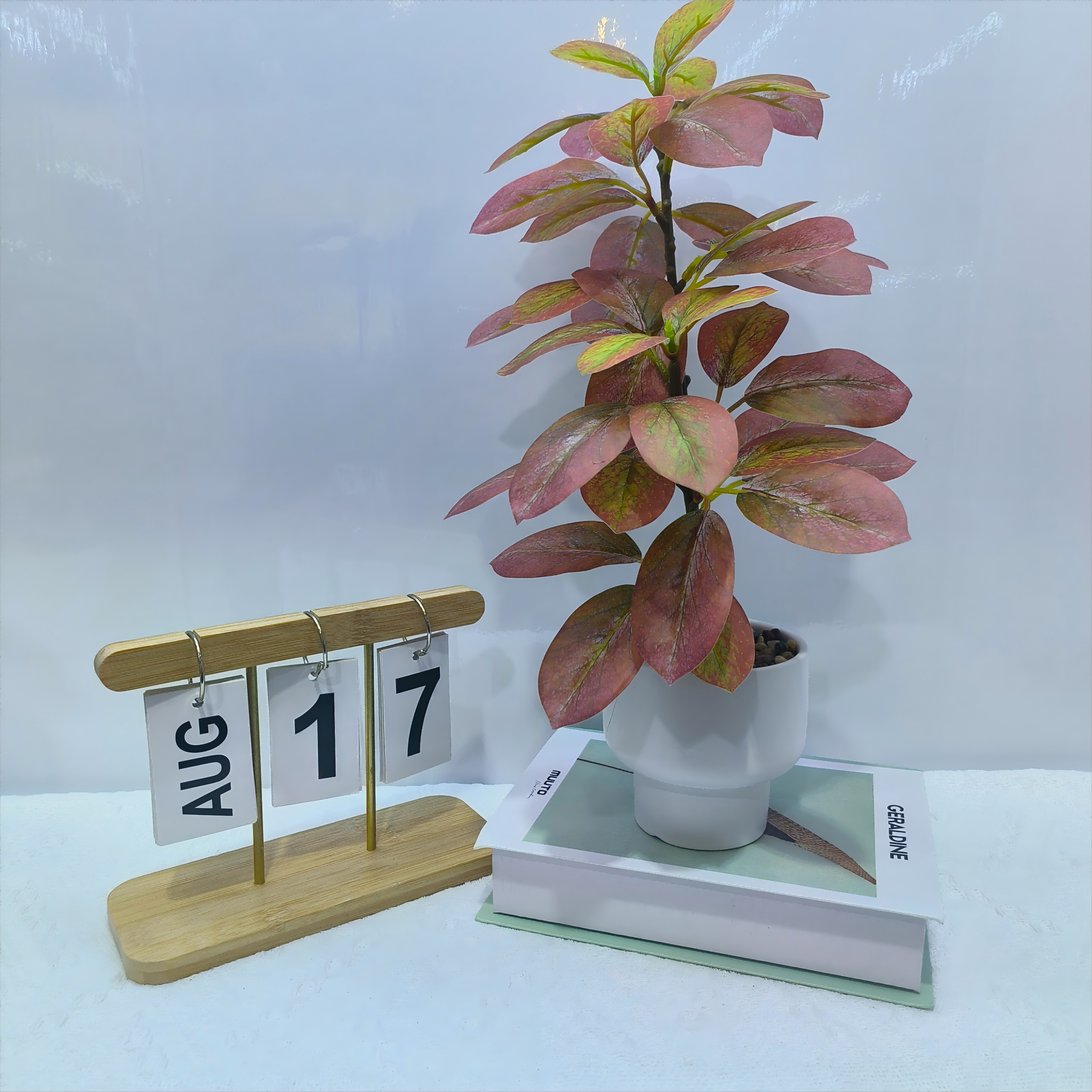 Autumn Blaze Ficus Accent