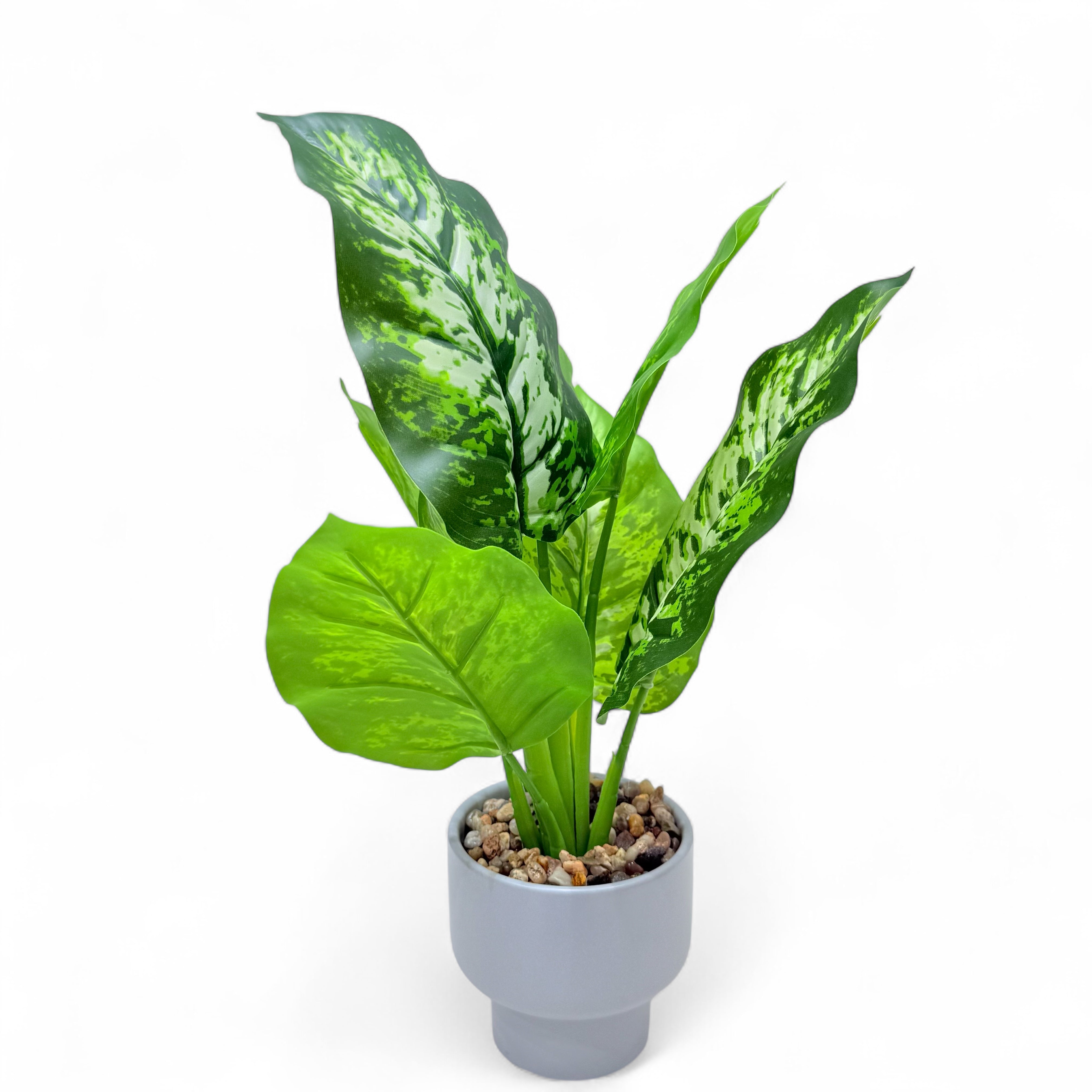 Artificial Dumb canes Plant