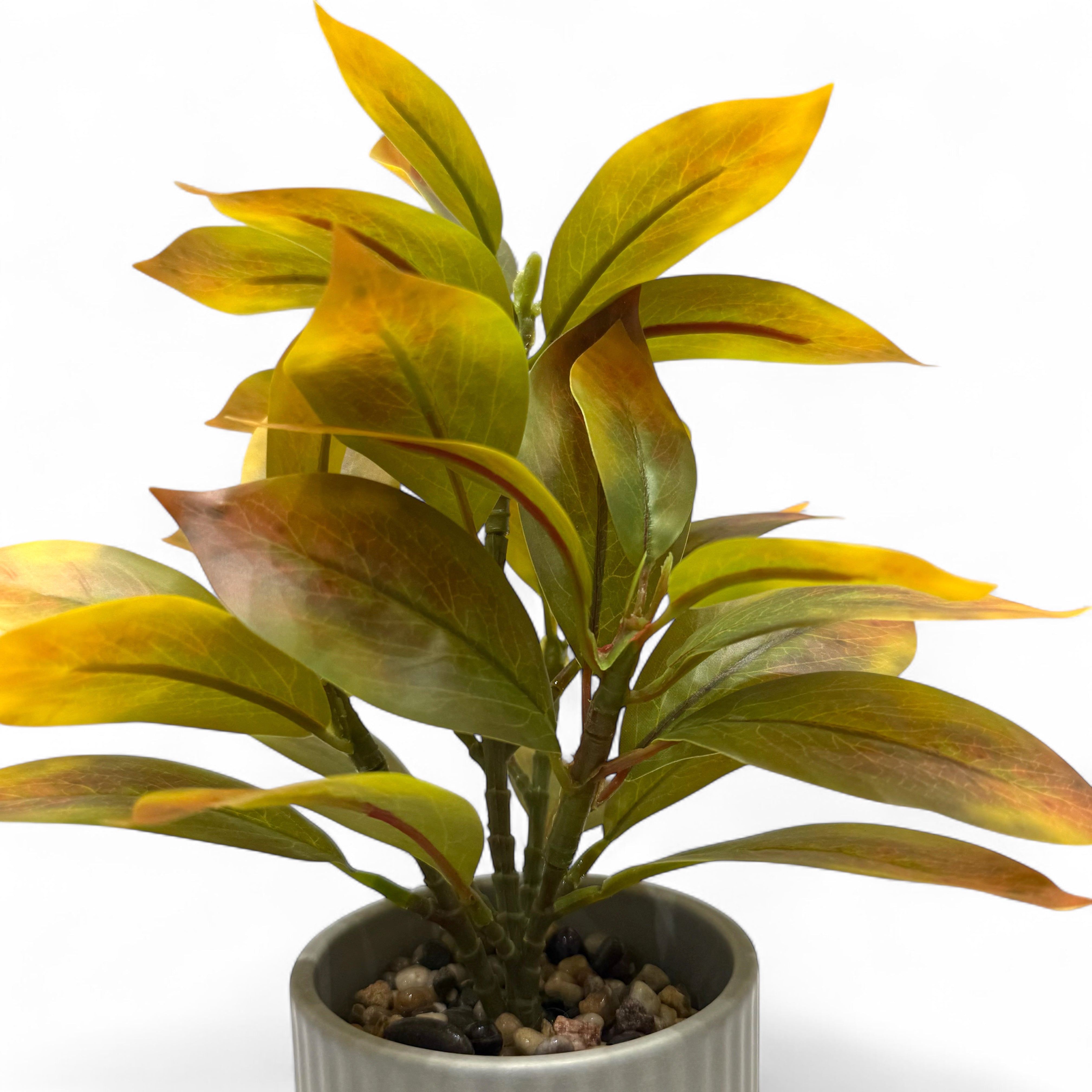 Ficus lyrata Artificial Plant