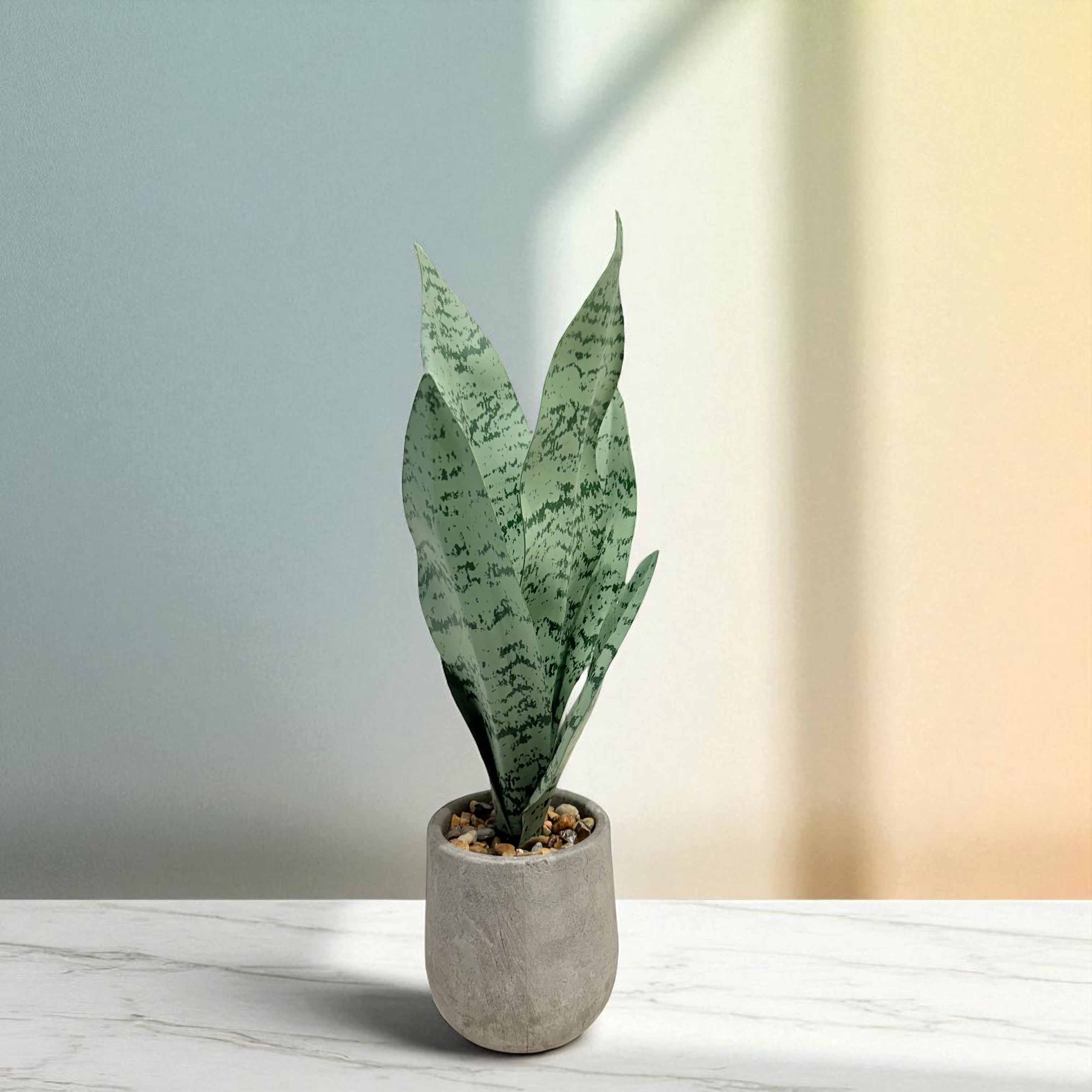 Urban Green – Snake Leaf Minimal Planter