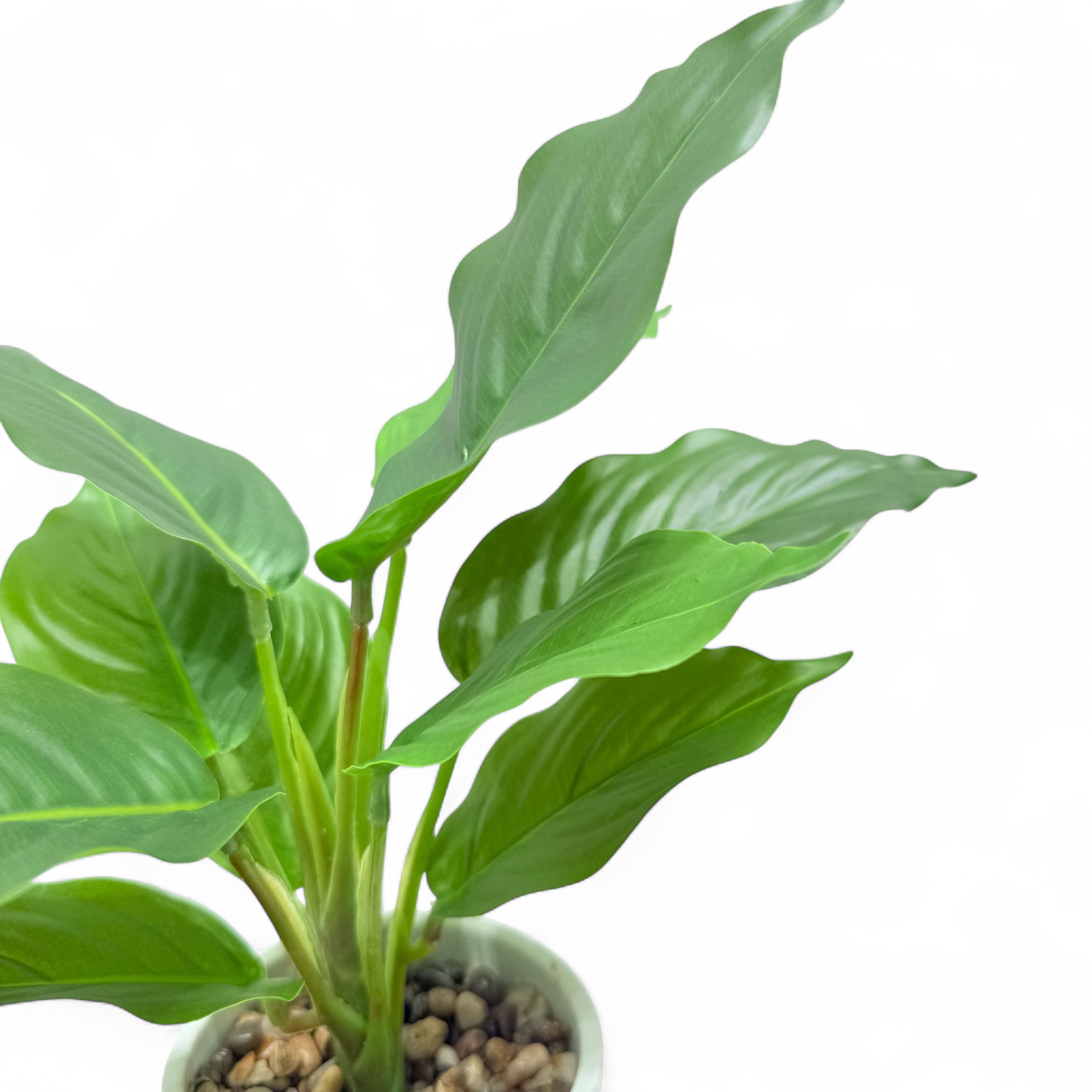 Artificial Peace Lily Plant