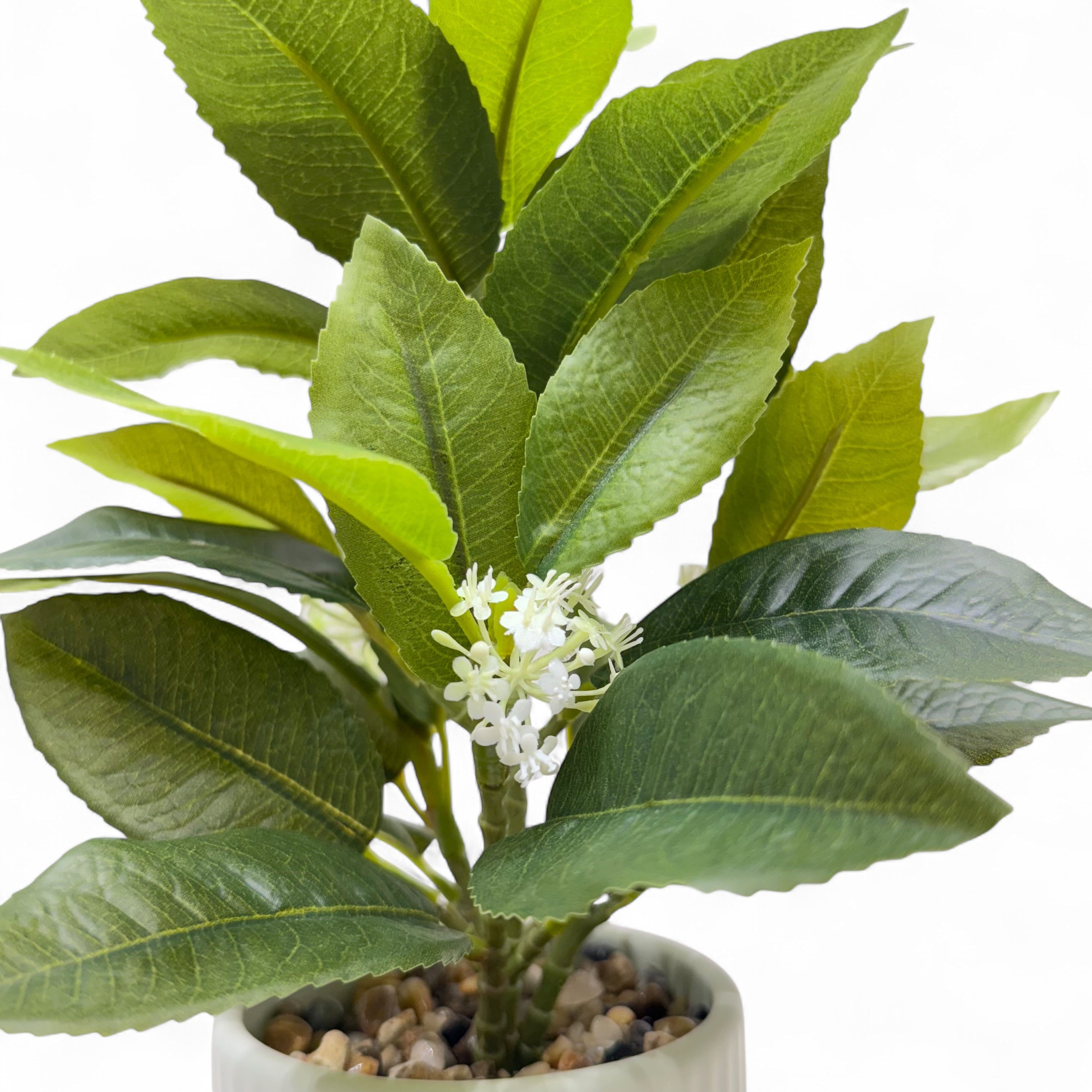 White Jasmine Bloom Artificial Plant