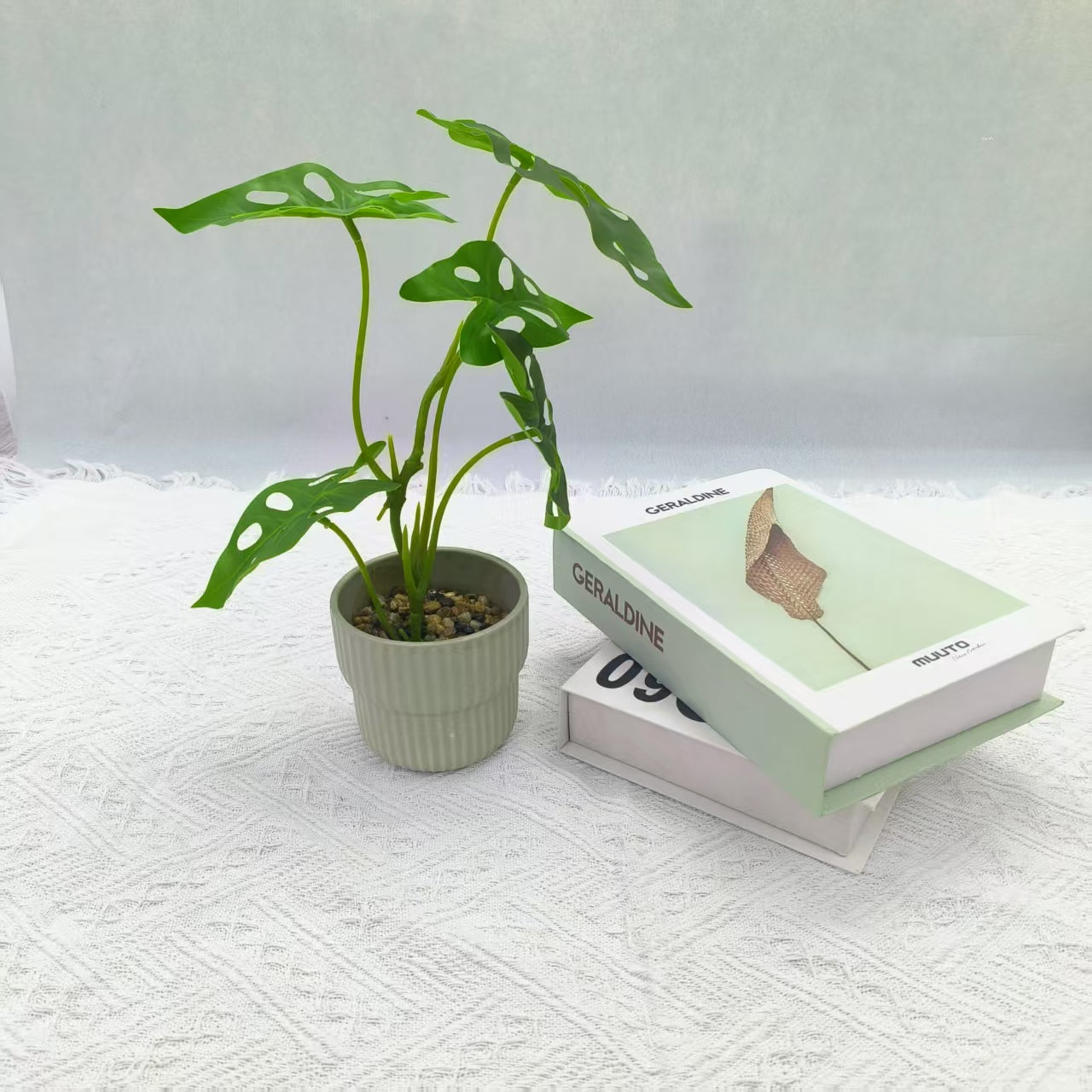 Artificial Monstera Adansonii Plant