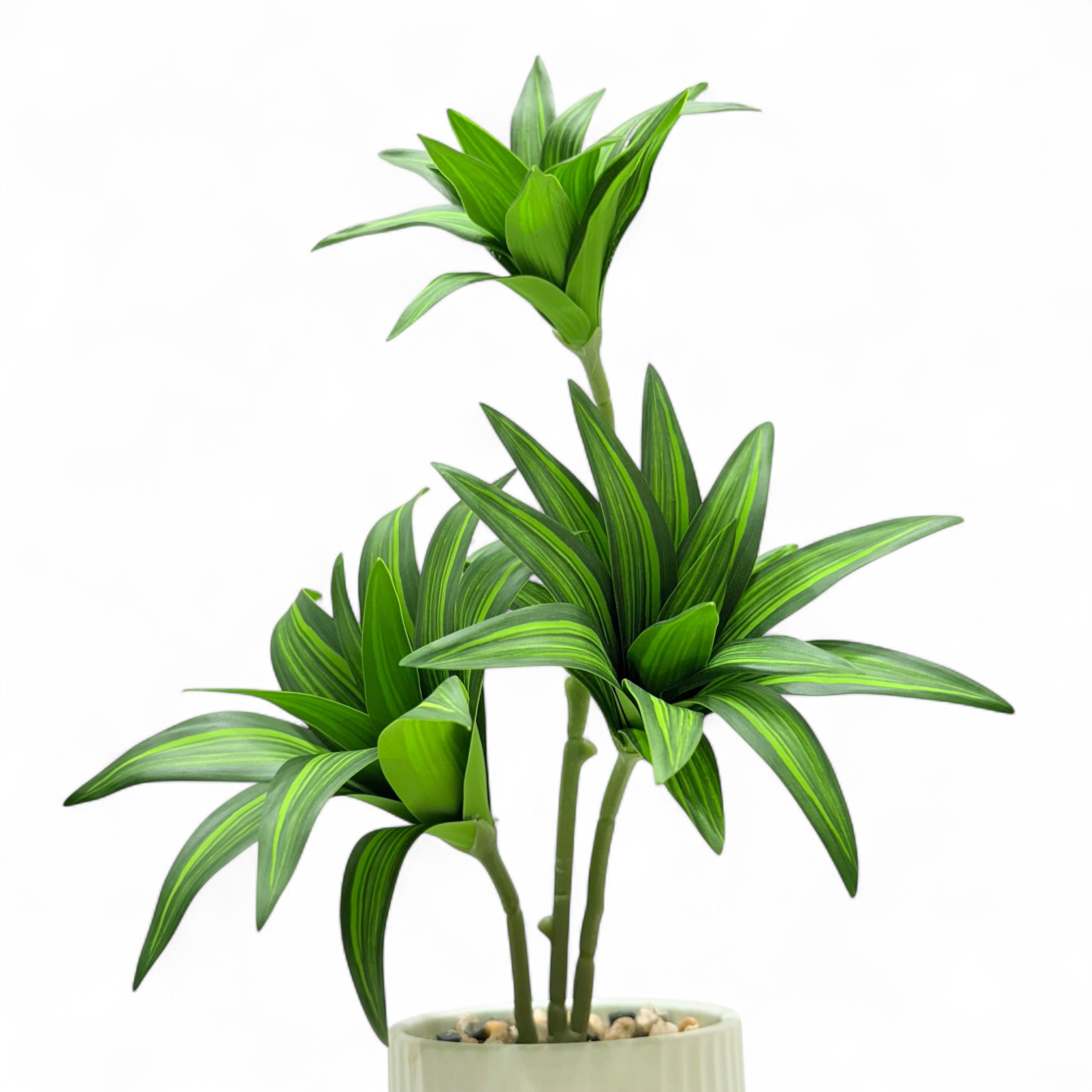 Artificial Dracaena Compacta Plant