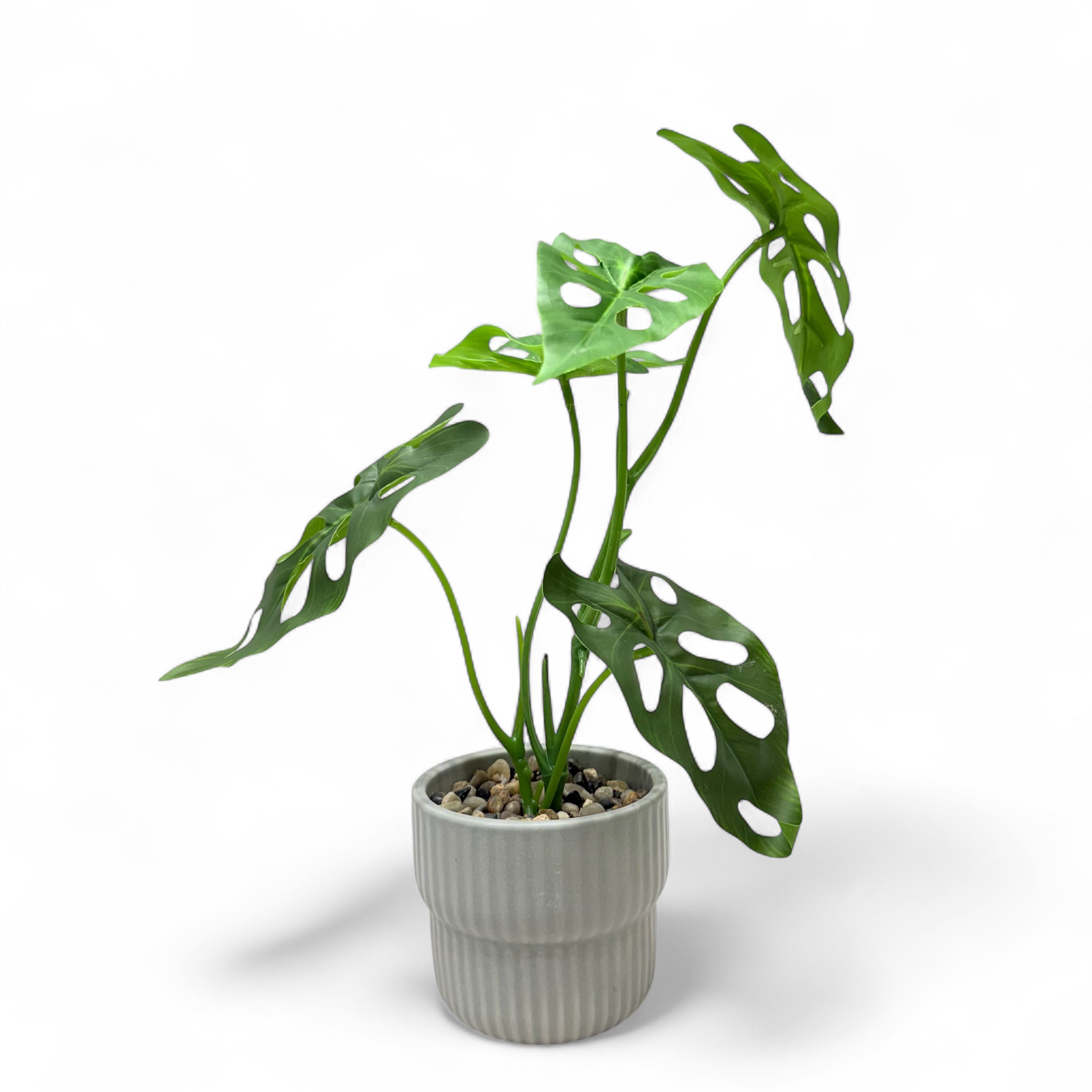 Artificial Monstera Adansonii Plant