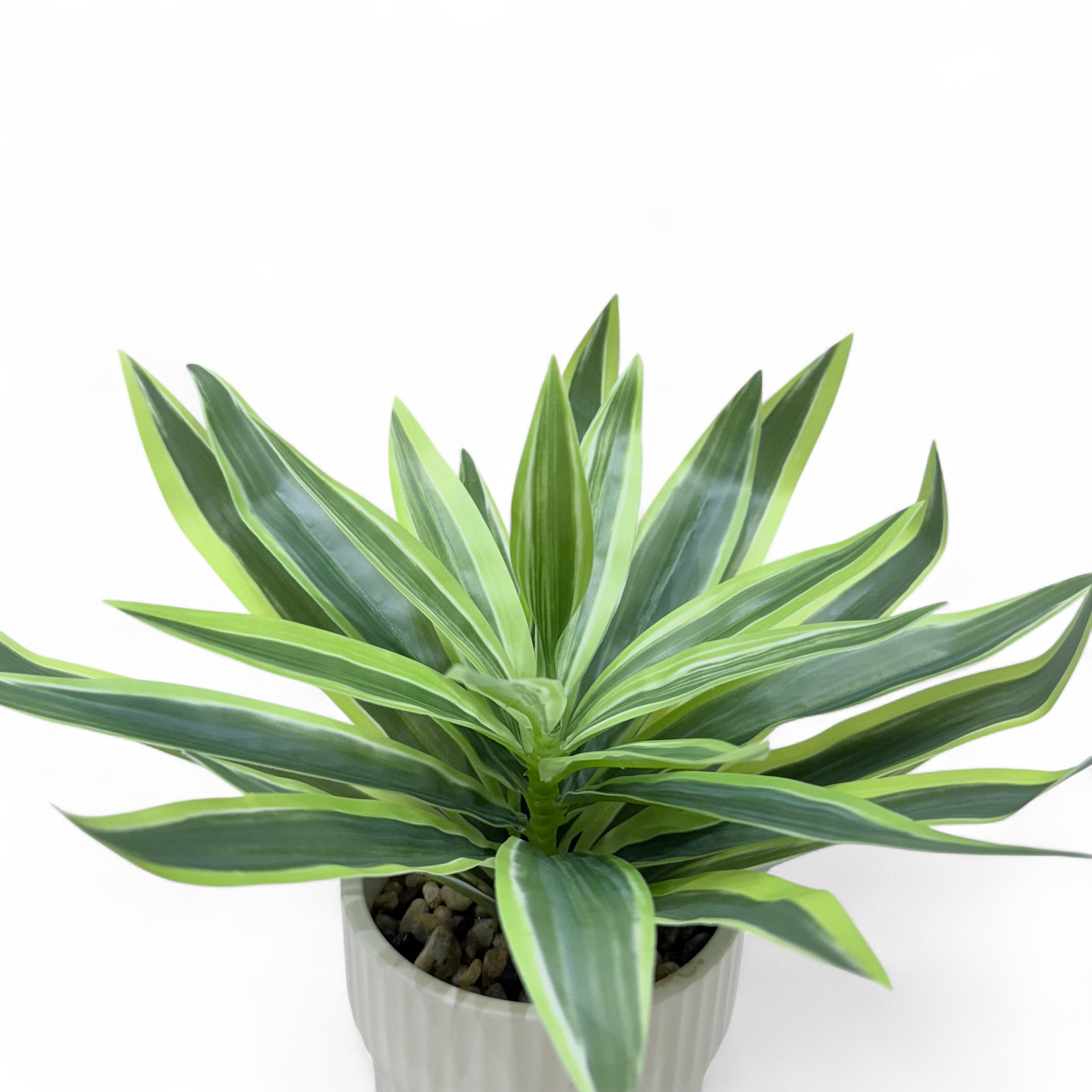 Artificial Dracaena Lemon Lime Plant