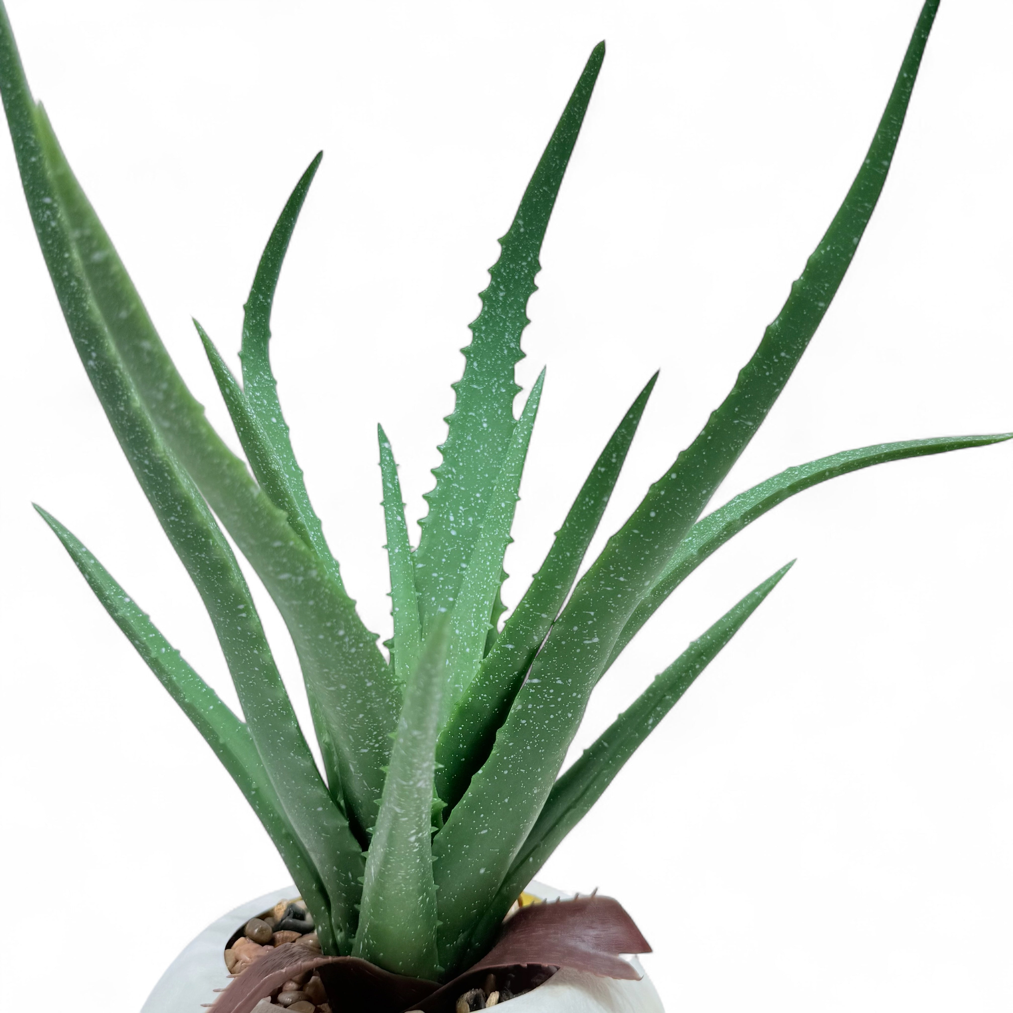 Serene Aloe Orb