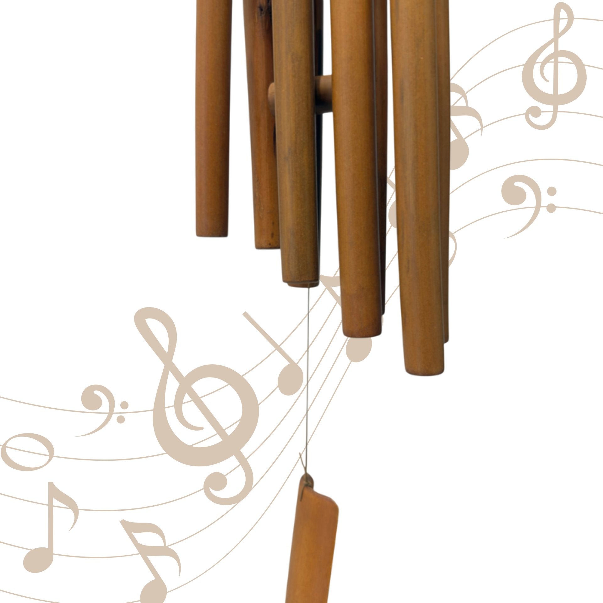 Bamboo Echoes