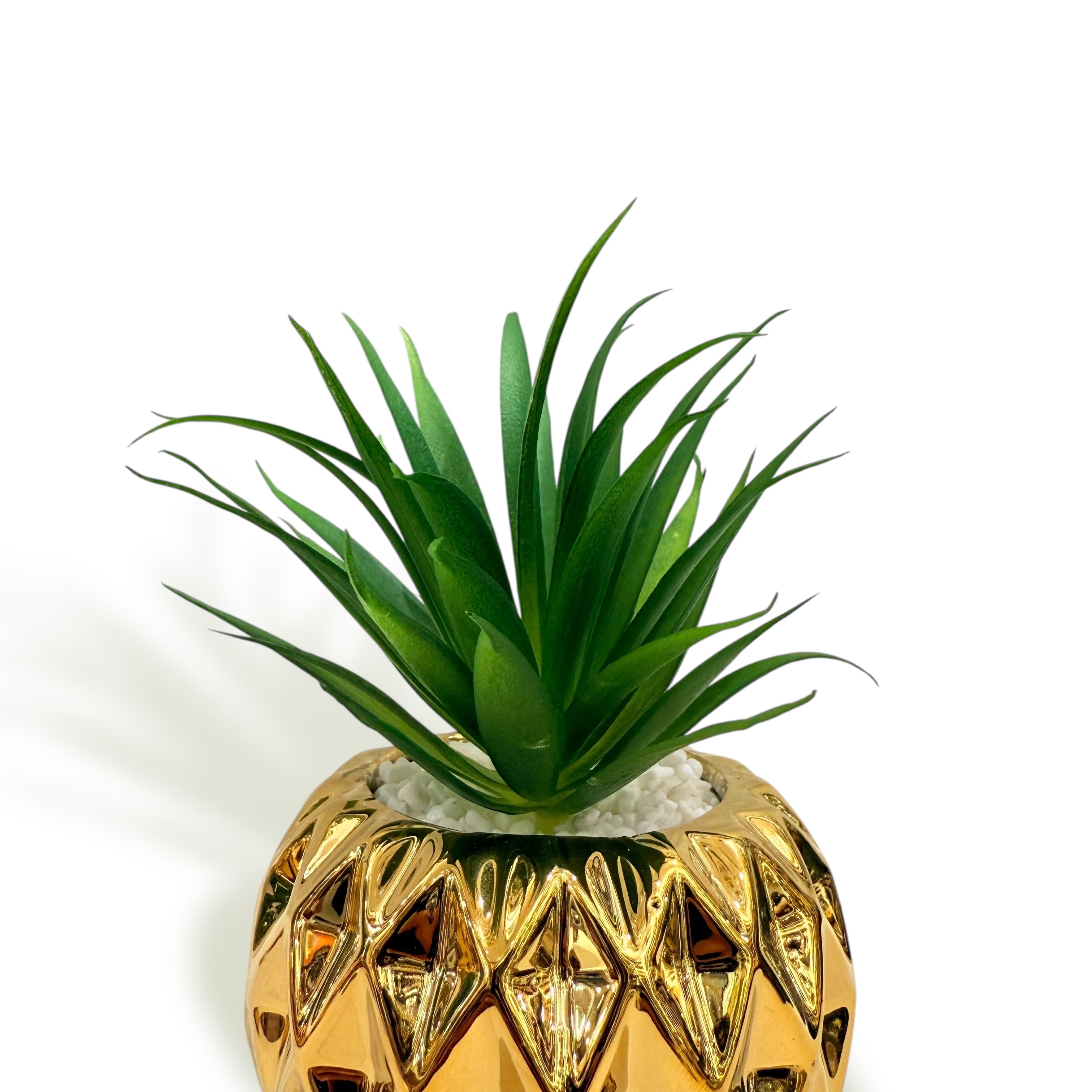 Auric Diamond Mini Plant — Luxe Gold Orb Set