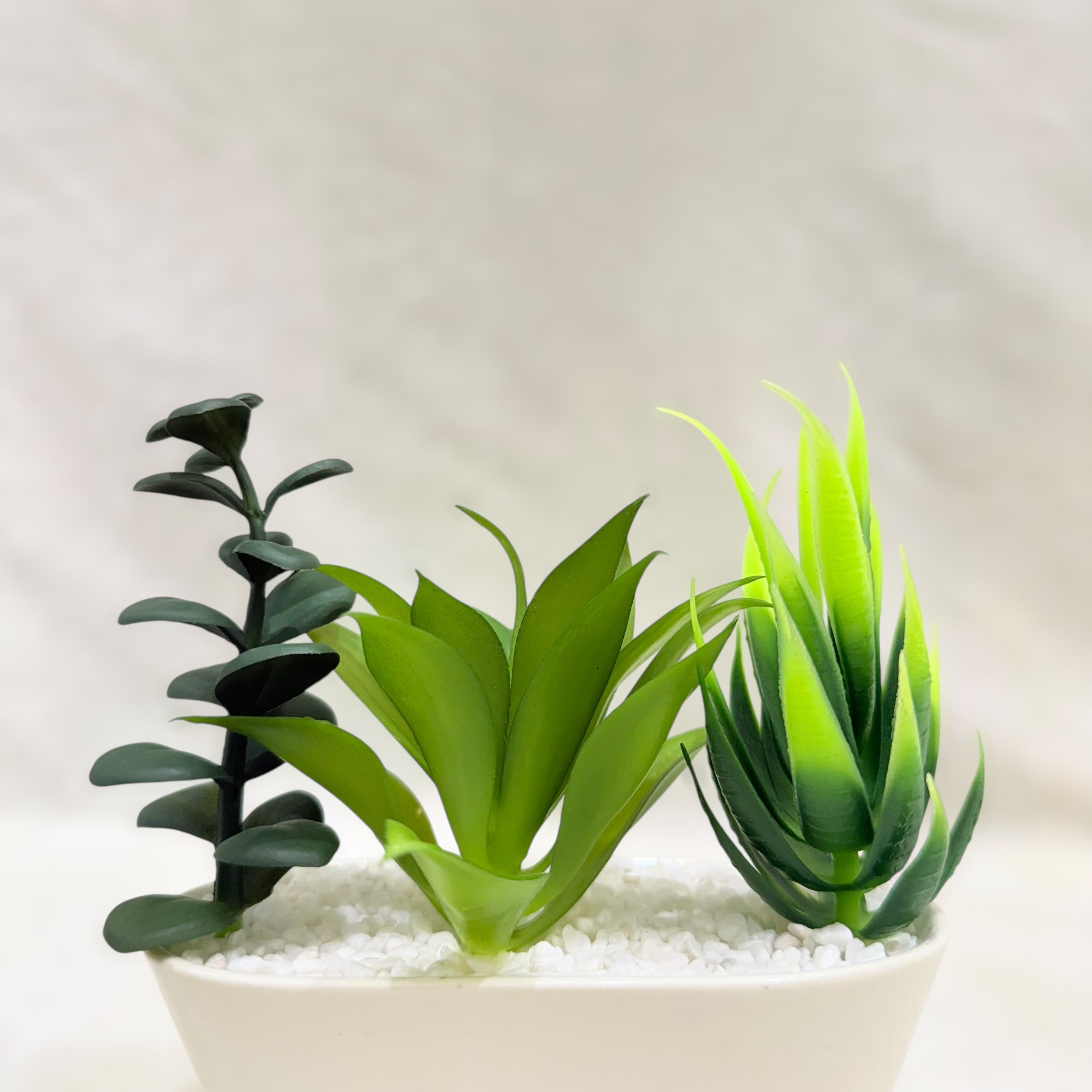 Elegant Duo Artificial Succulent Planter Set